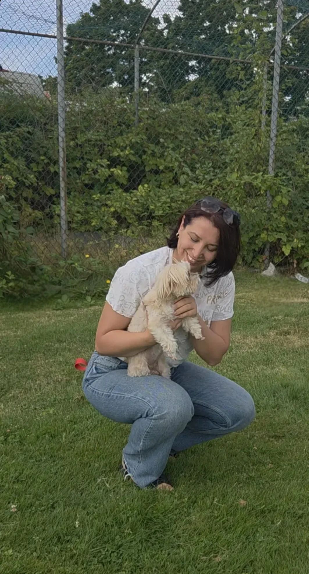image-7
