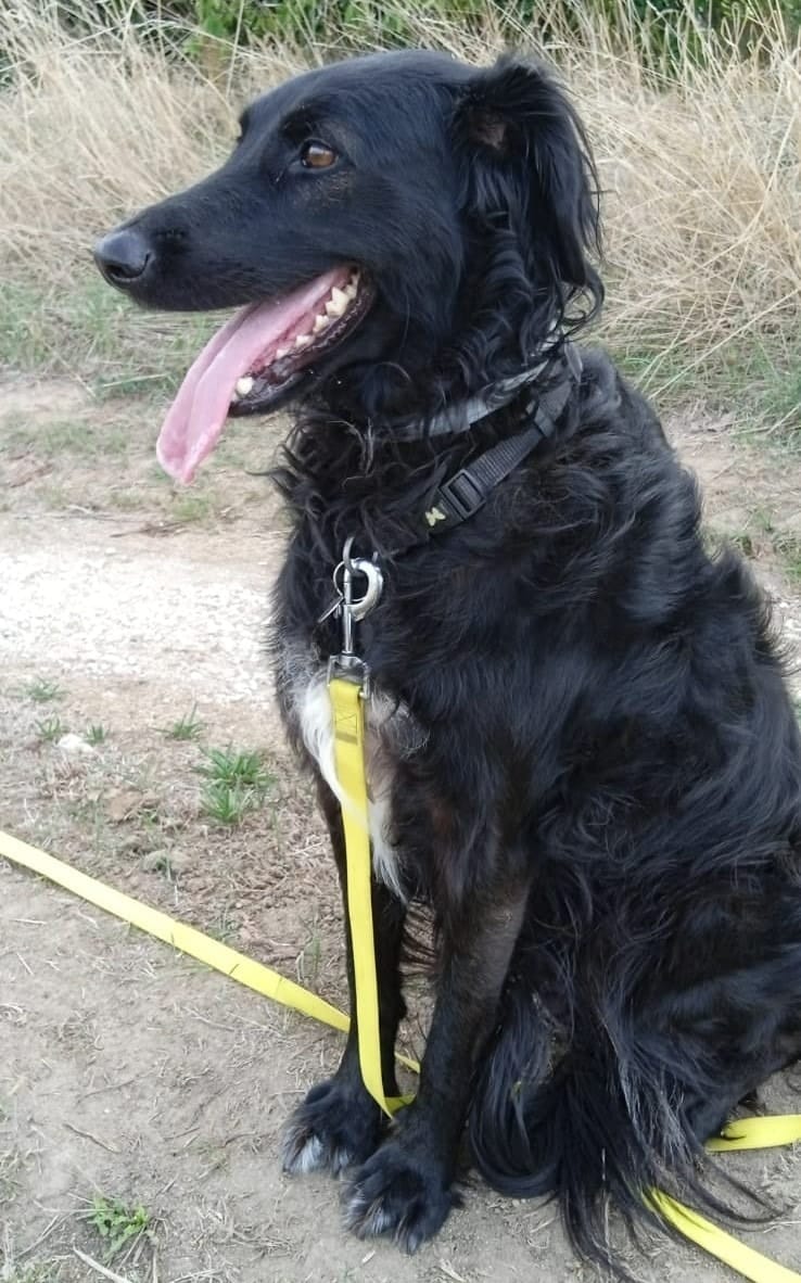 image-2