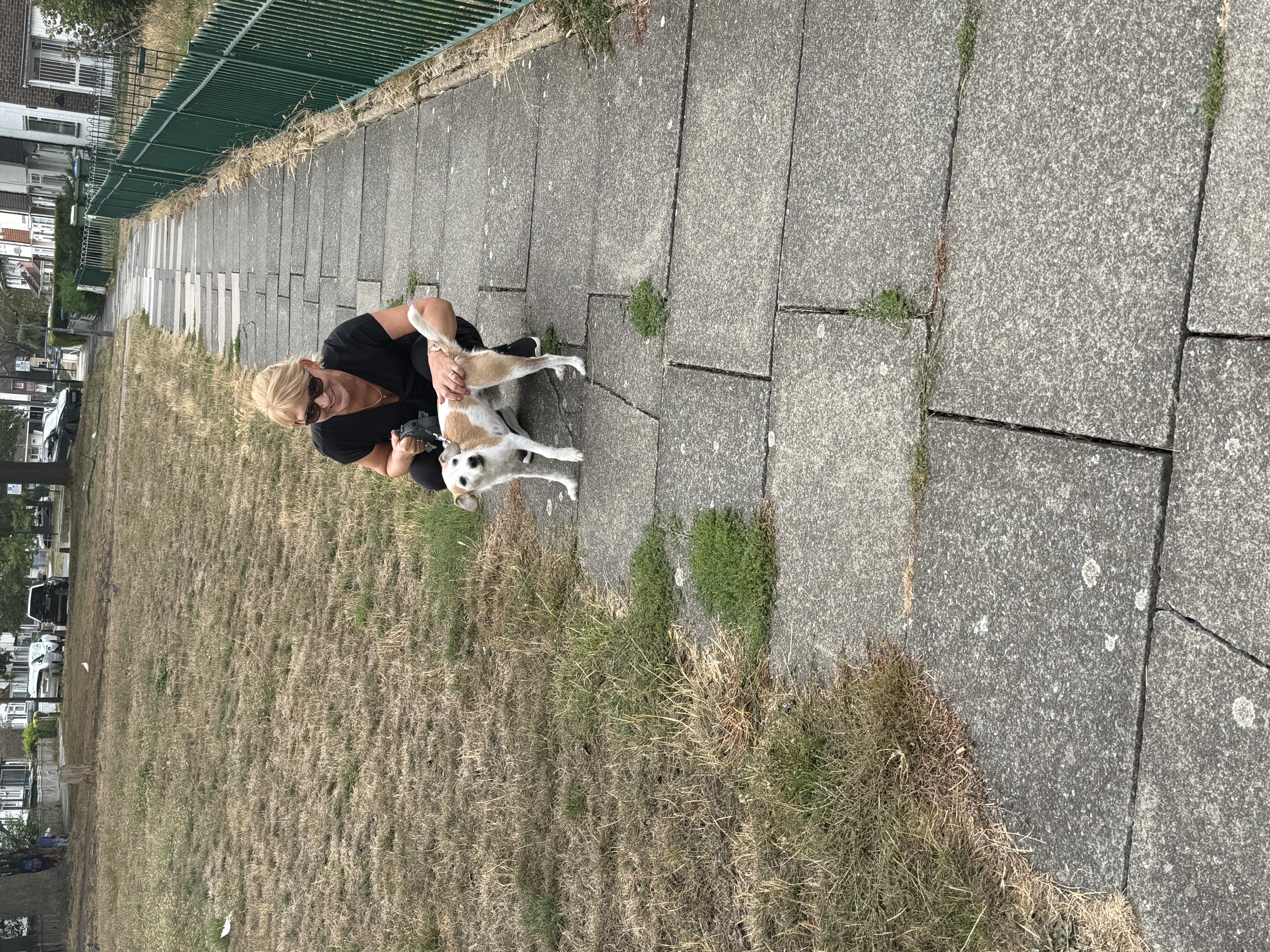image-7