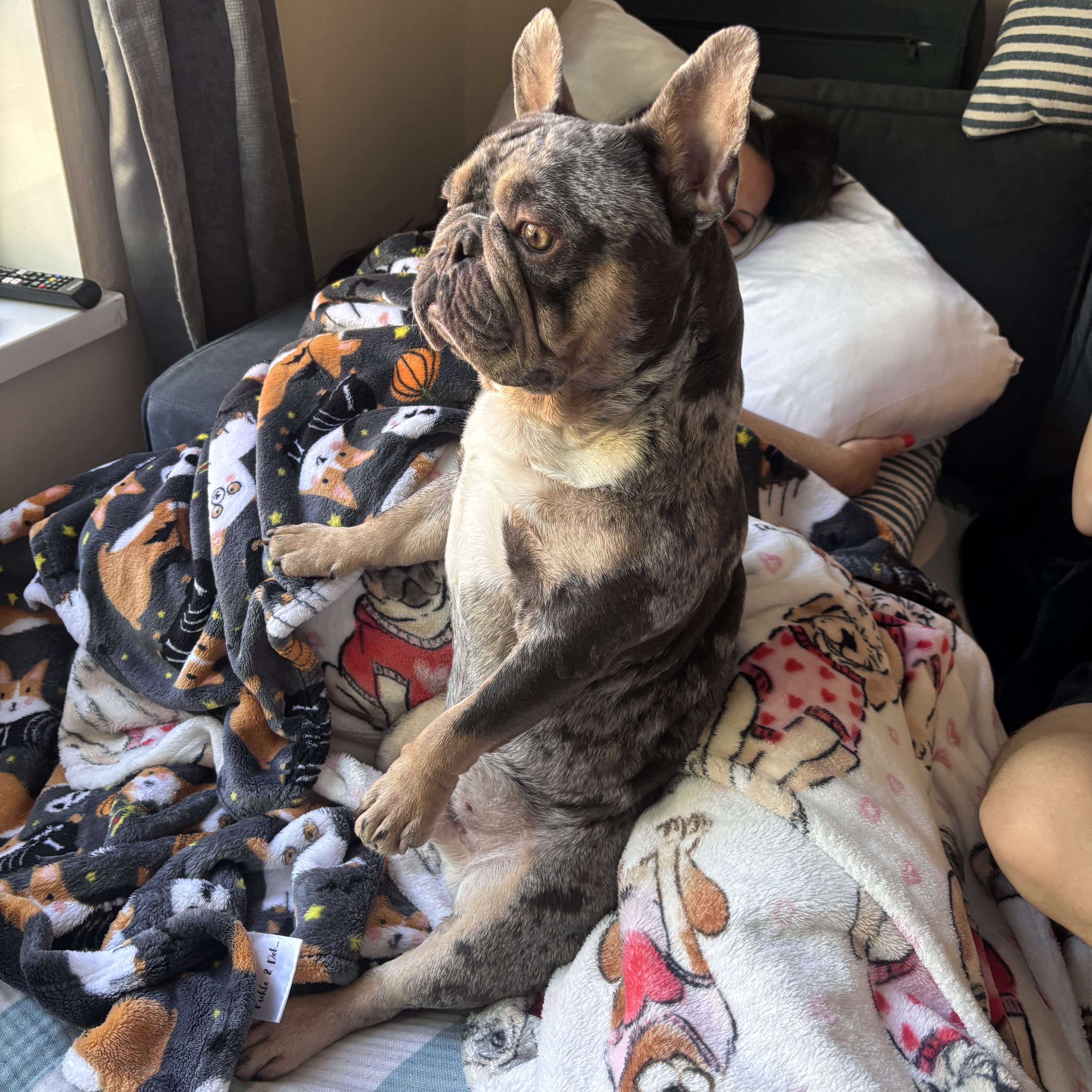Dexter 