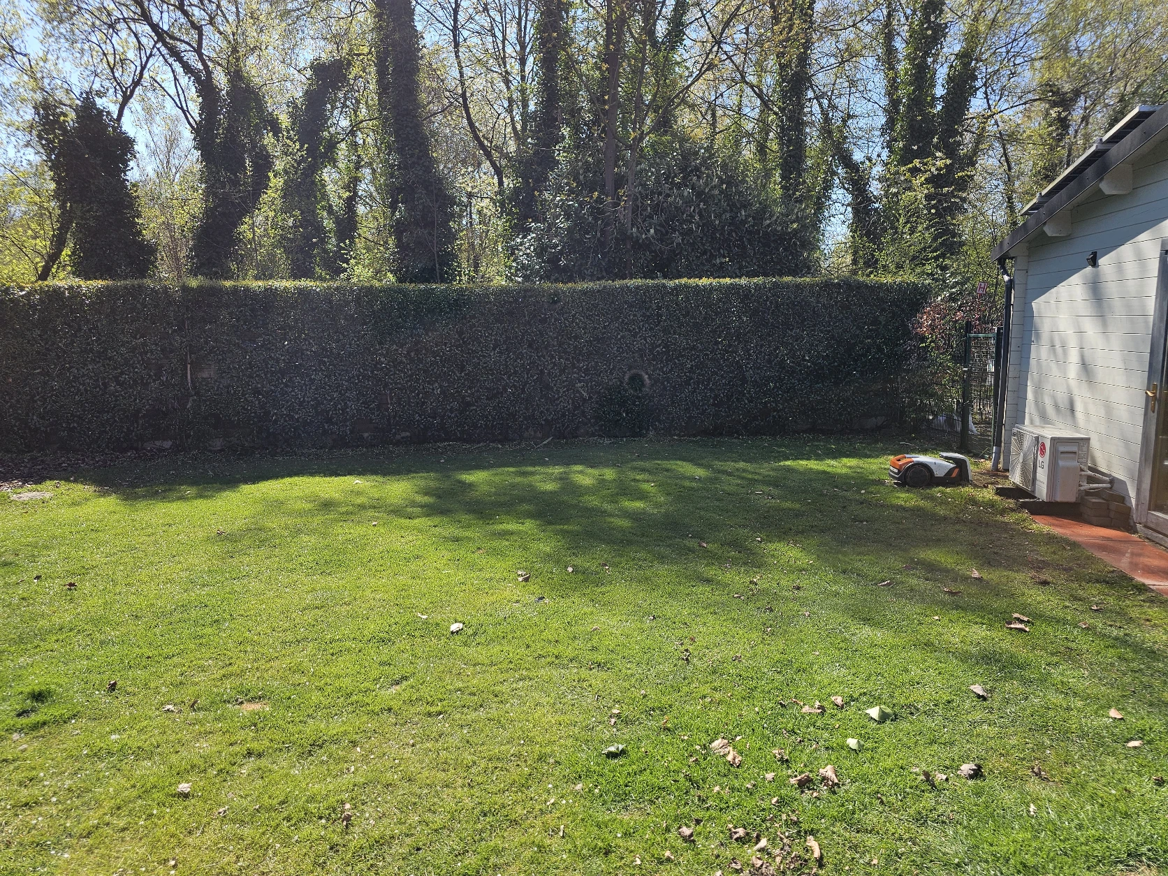 image-19