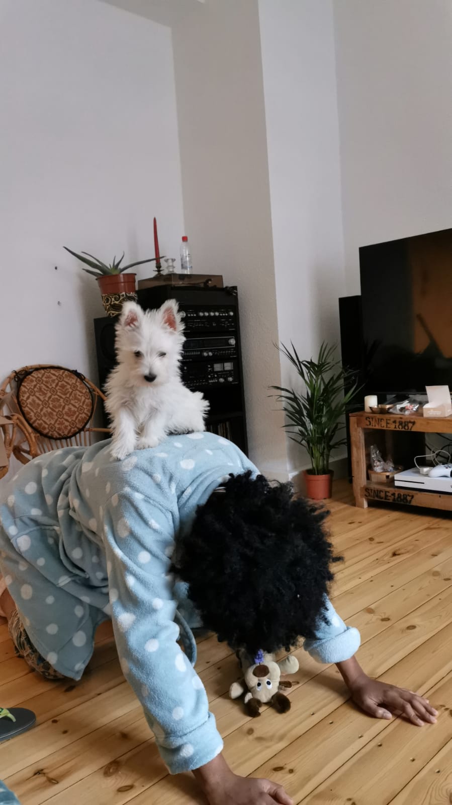 image-3