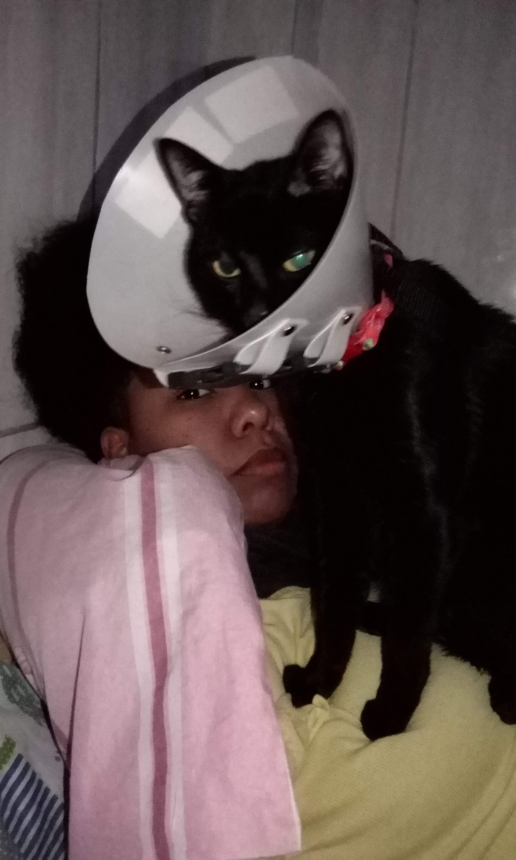 image-6