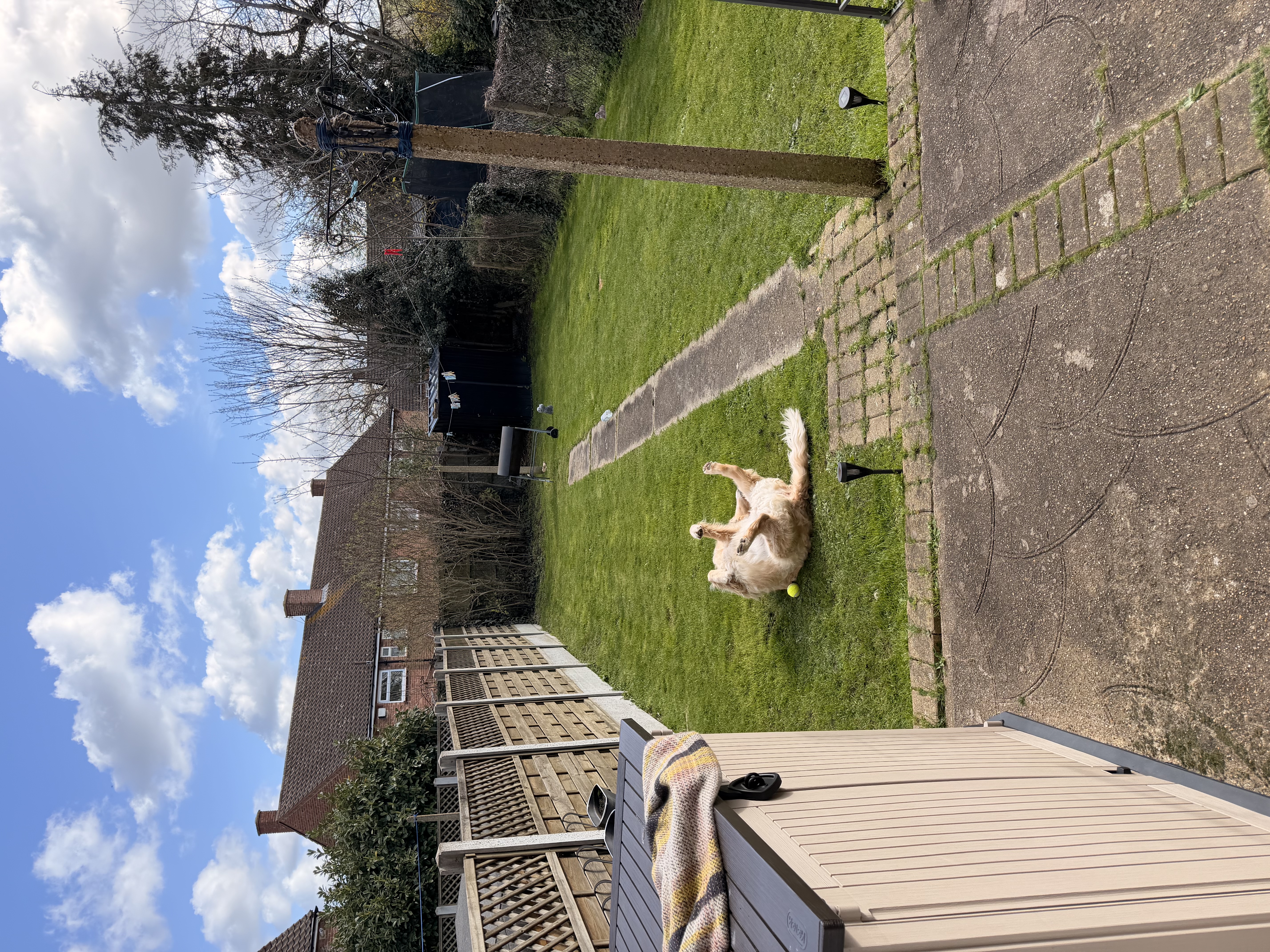 image-9