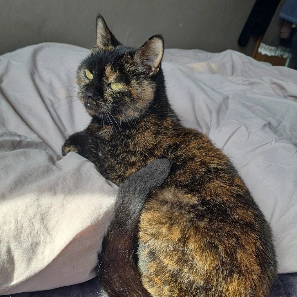 Méliene
