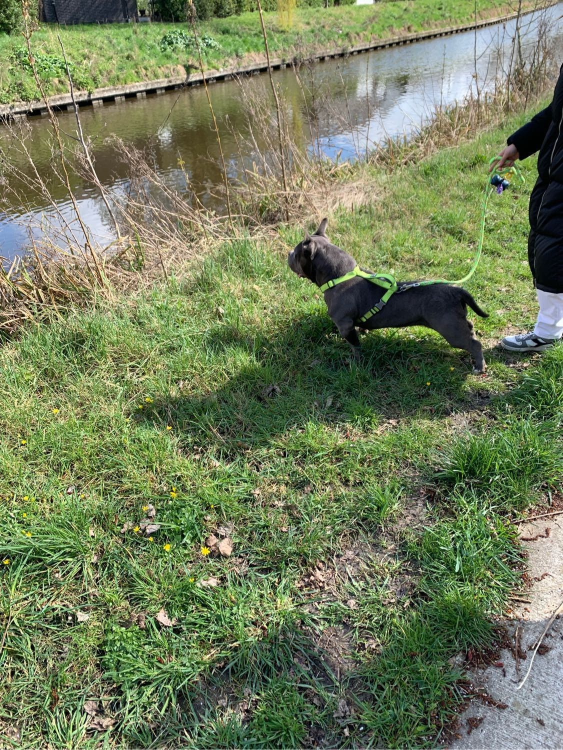 image-9