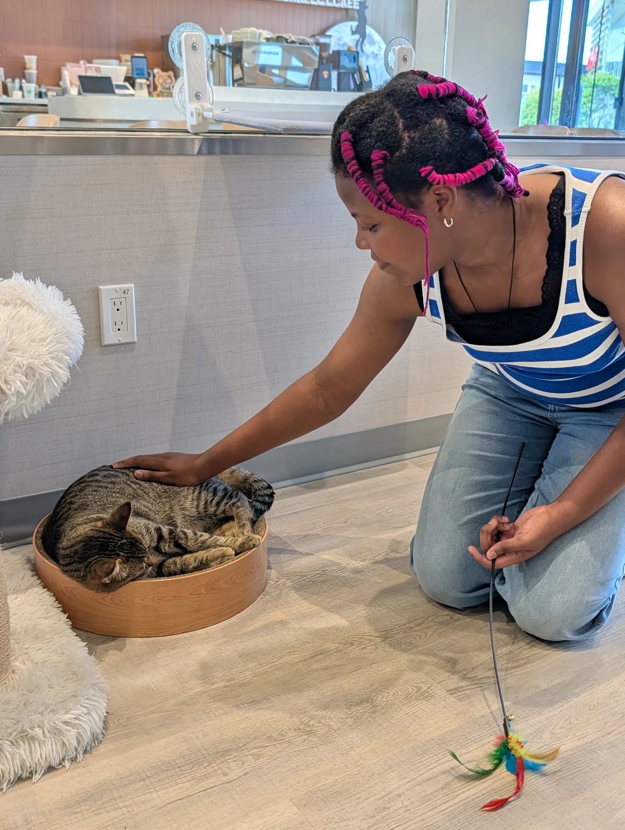image-13