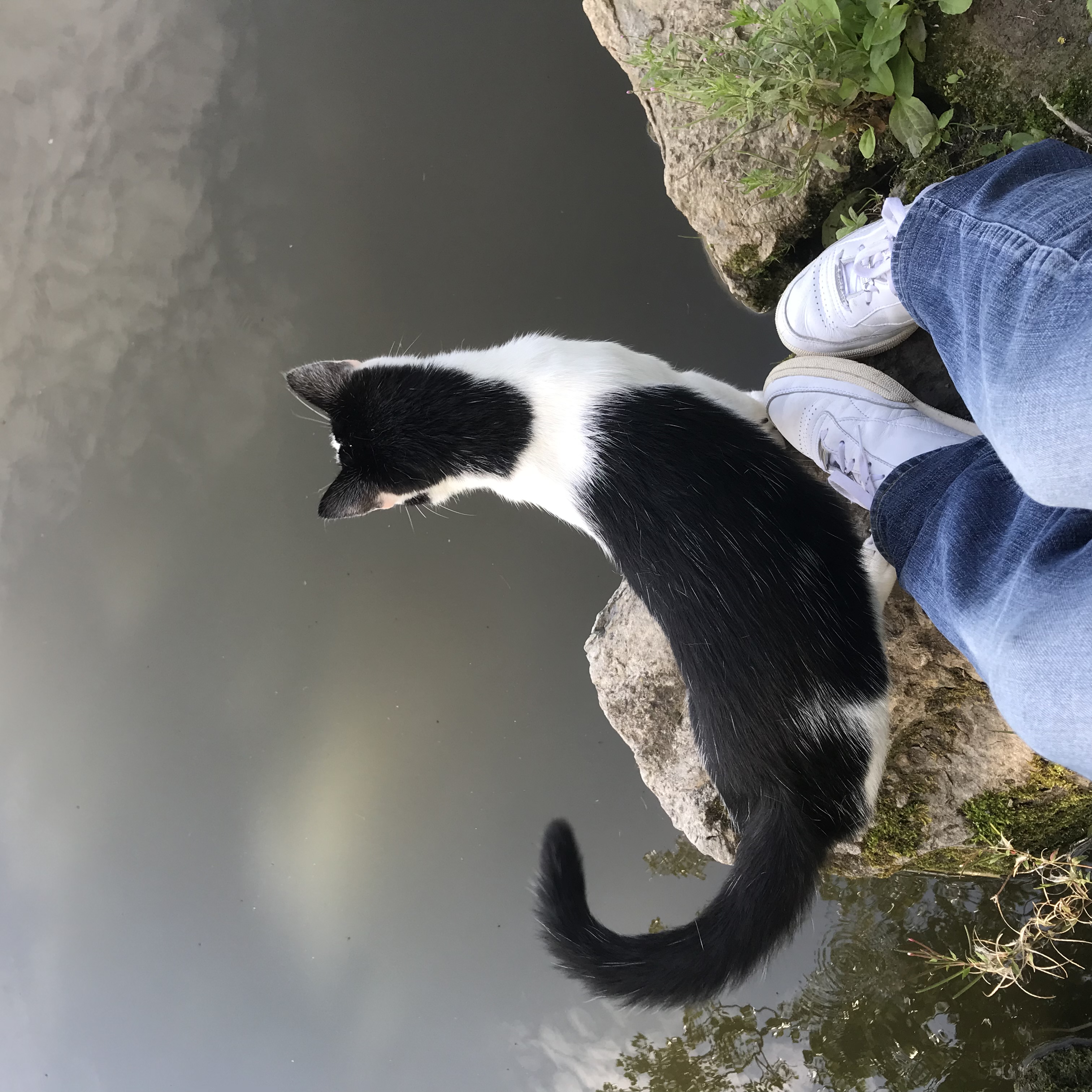 image-6