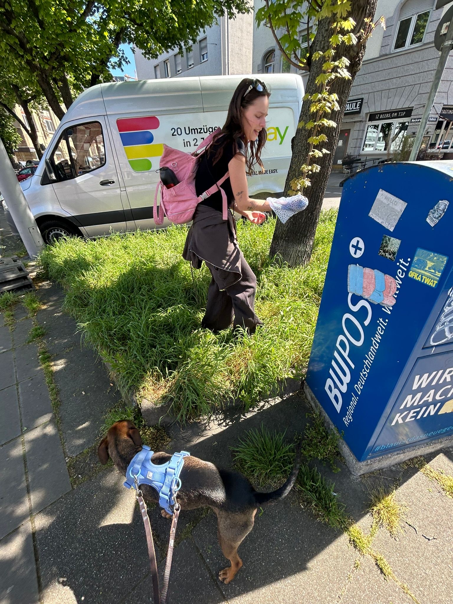 image-5