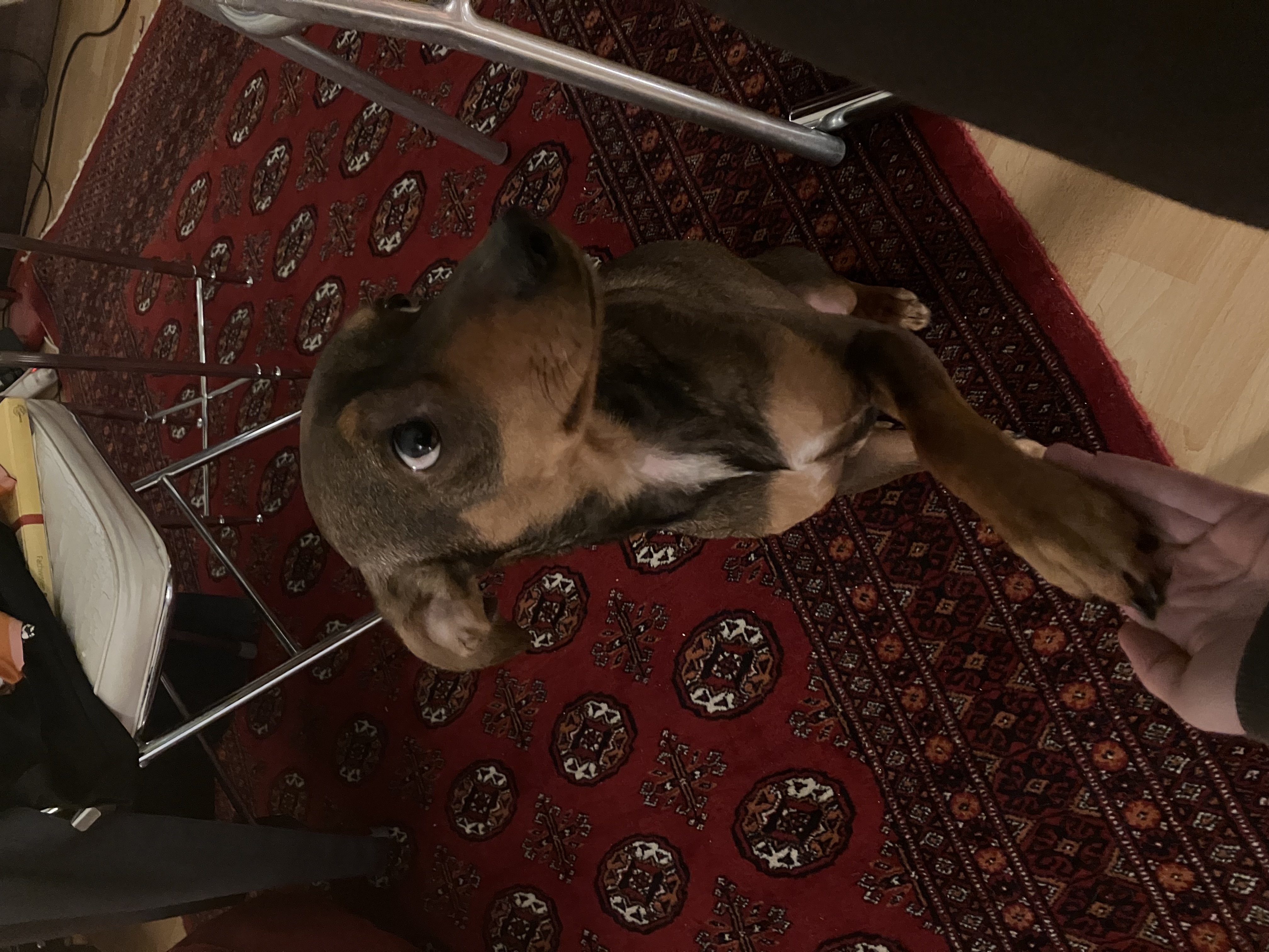 image-7