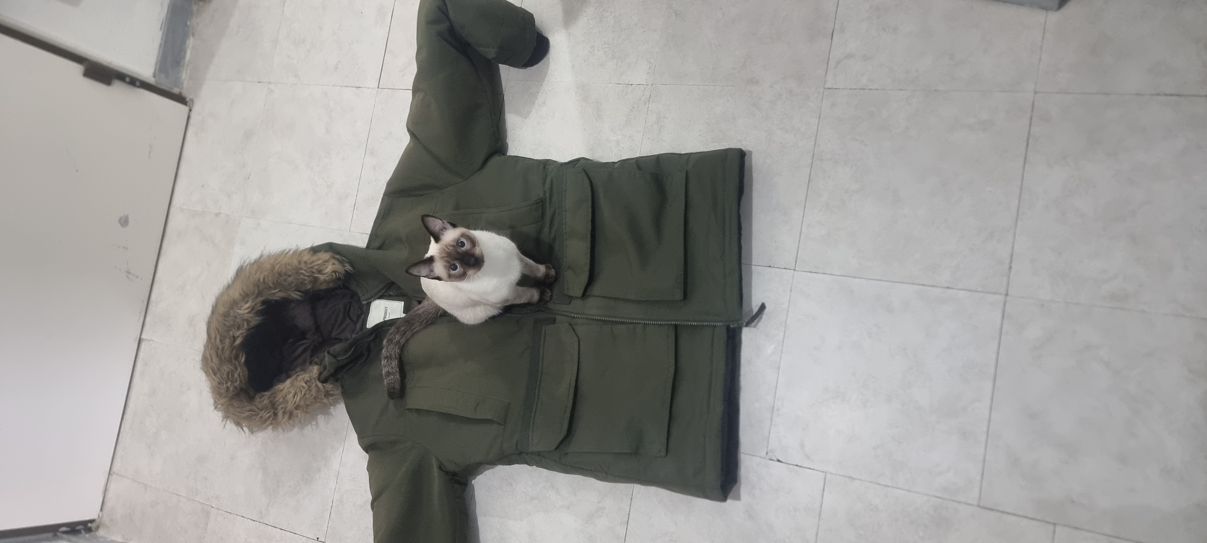 image-6