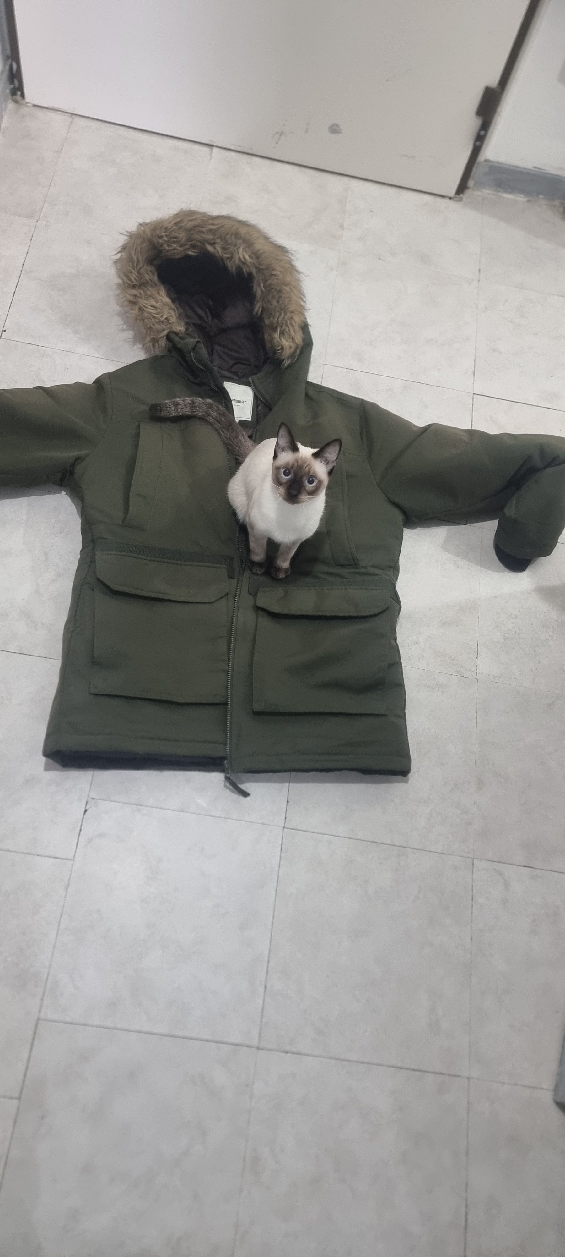 image-6