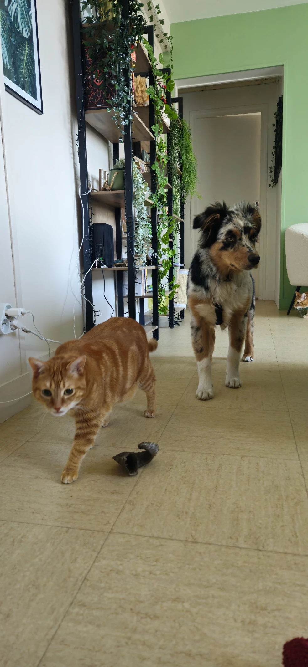 image-10
