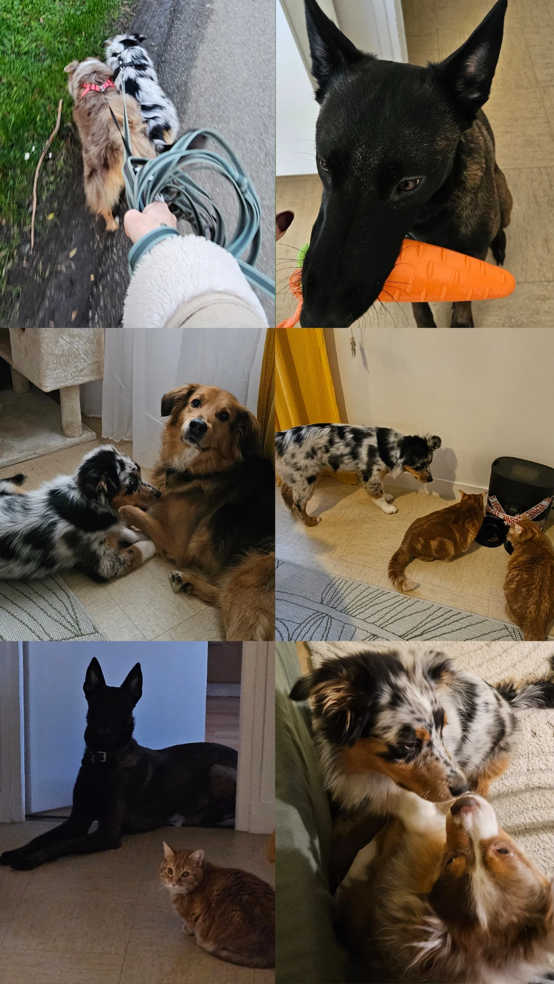 image-16