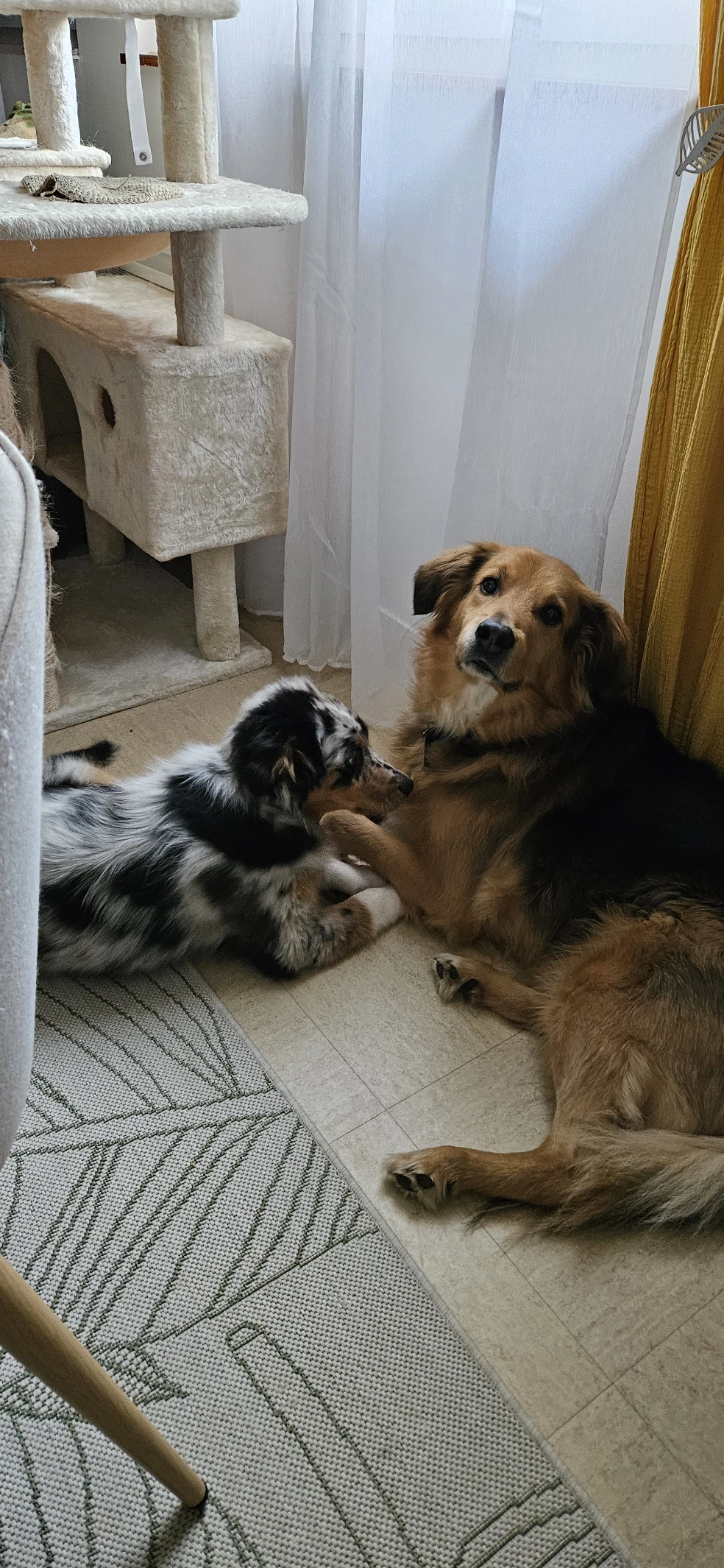 image-21