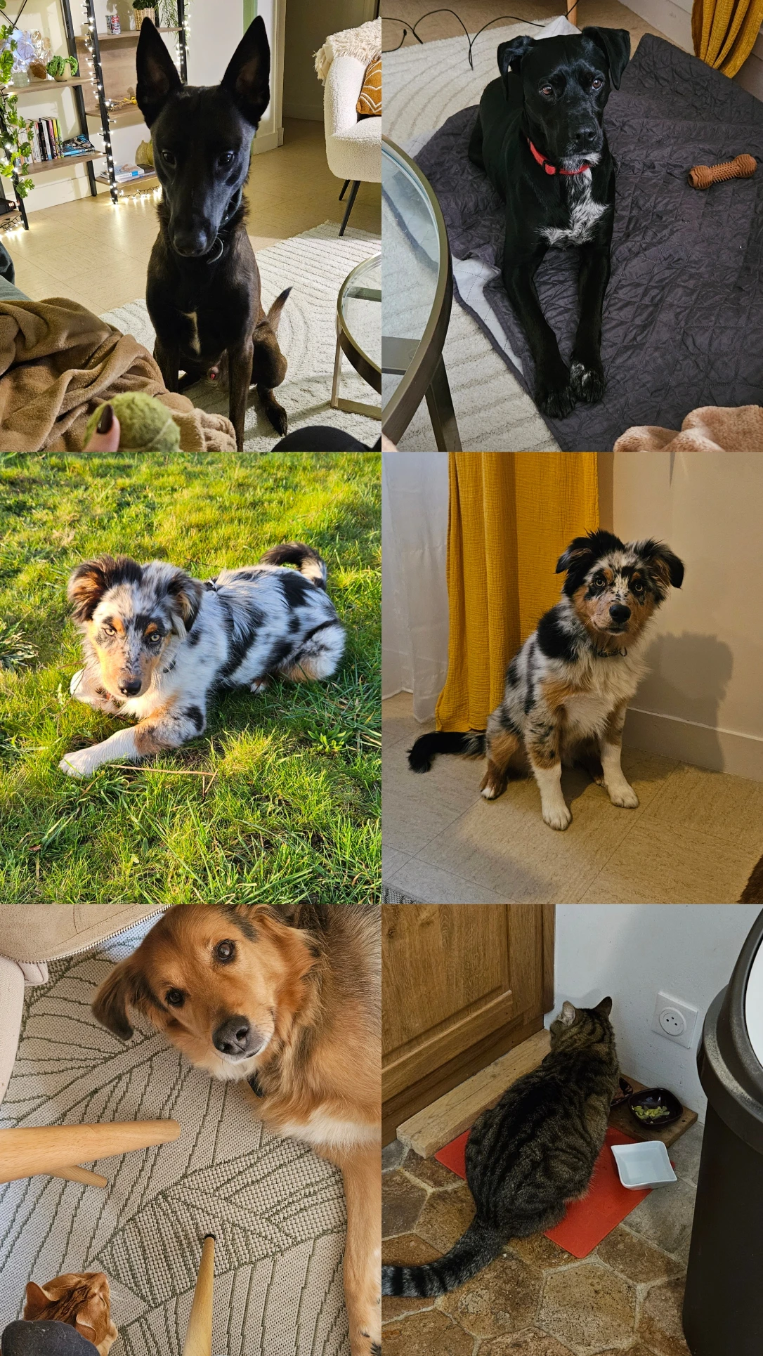 image-17