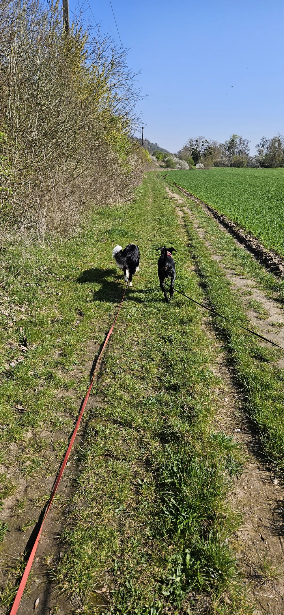 image-13