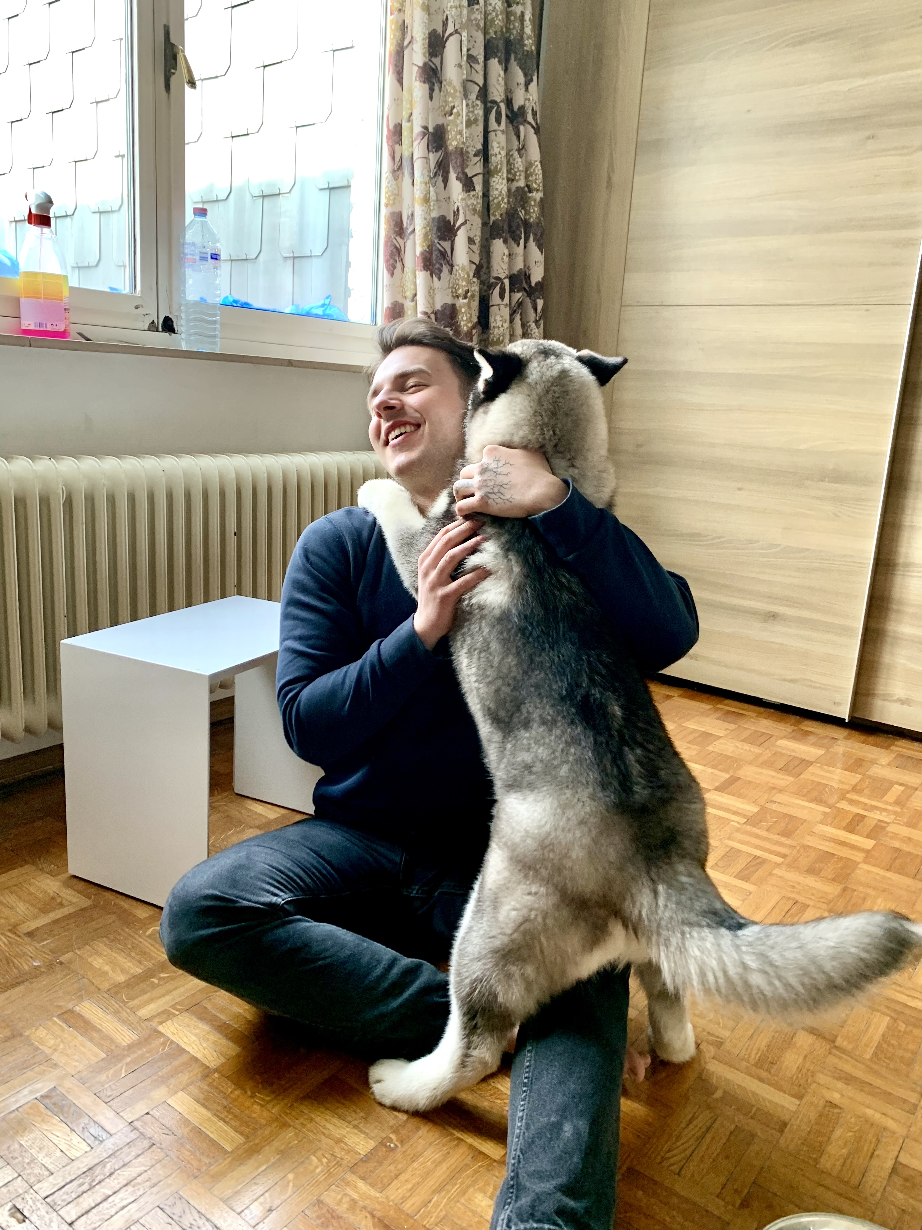 image-7