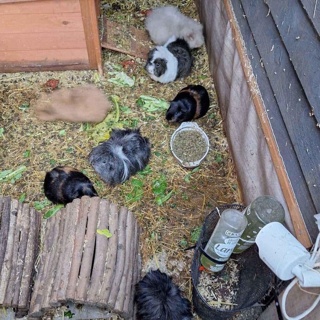 Sonia elvis claire liz anne brenda and sue