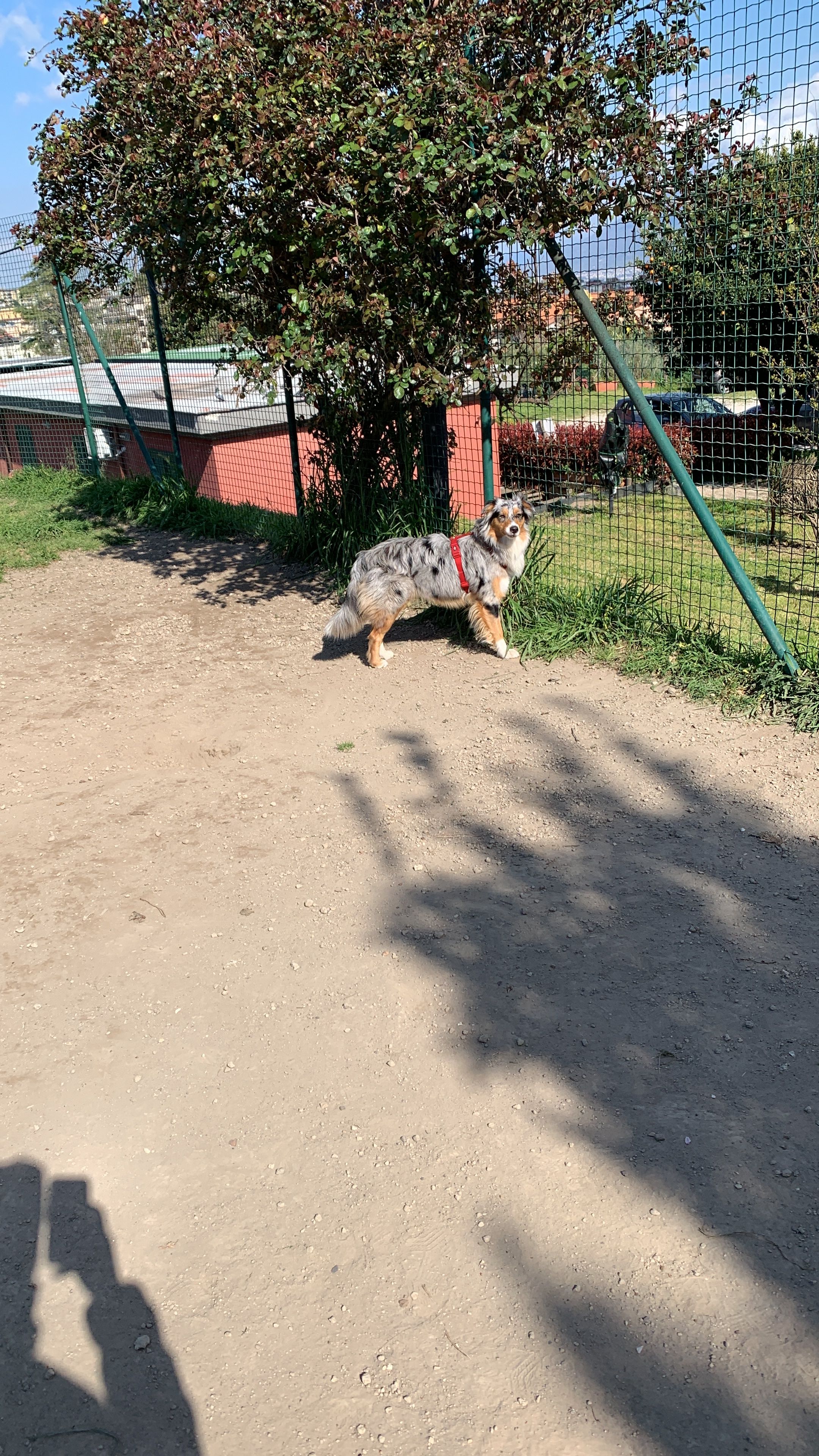 image-6