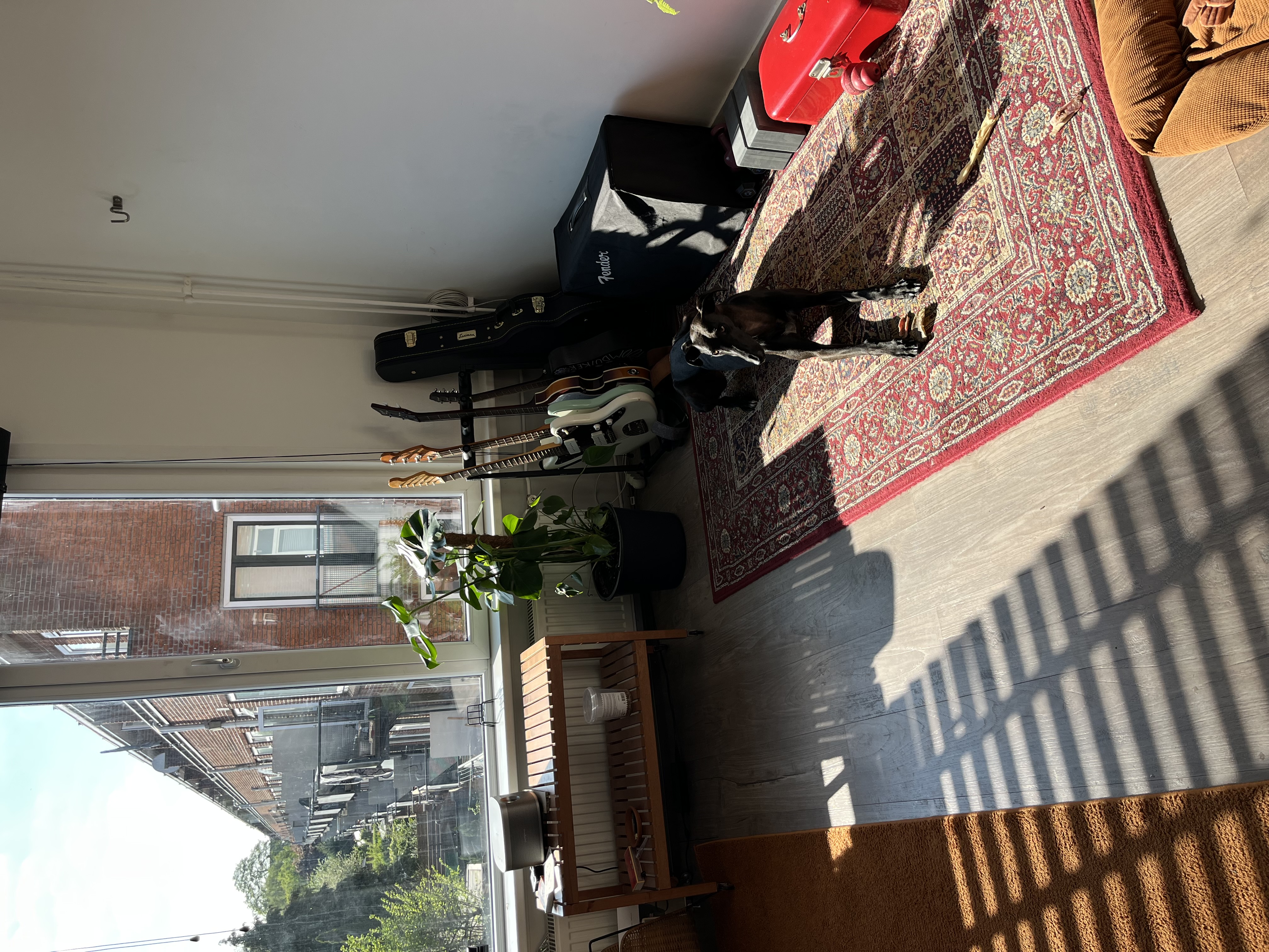 image-19