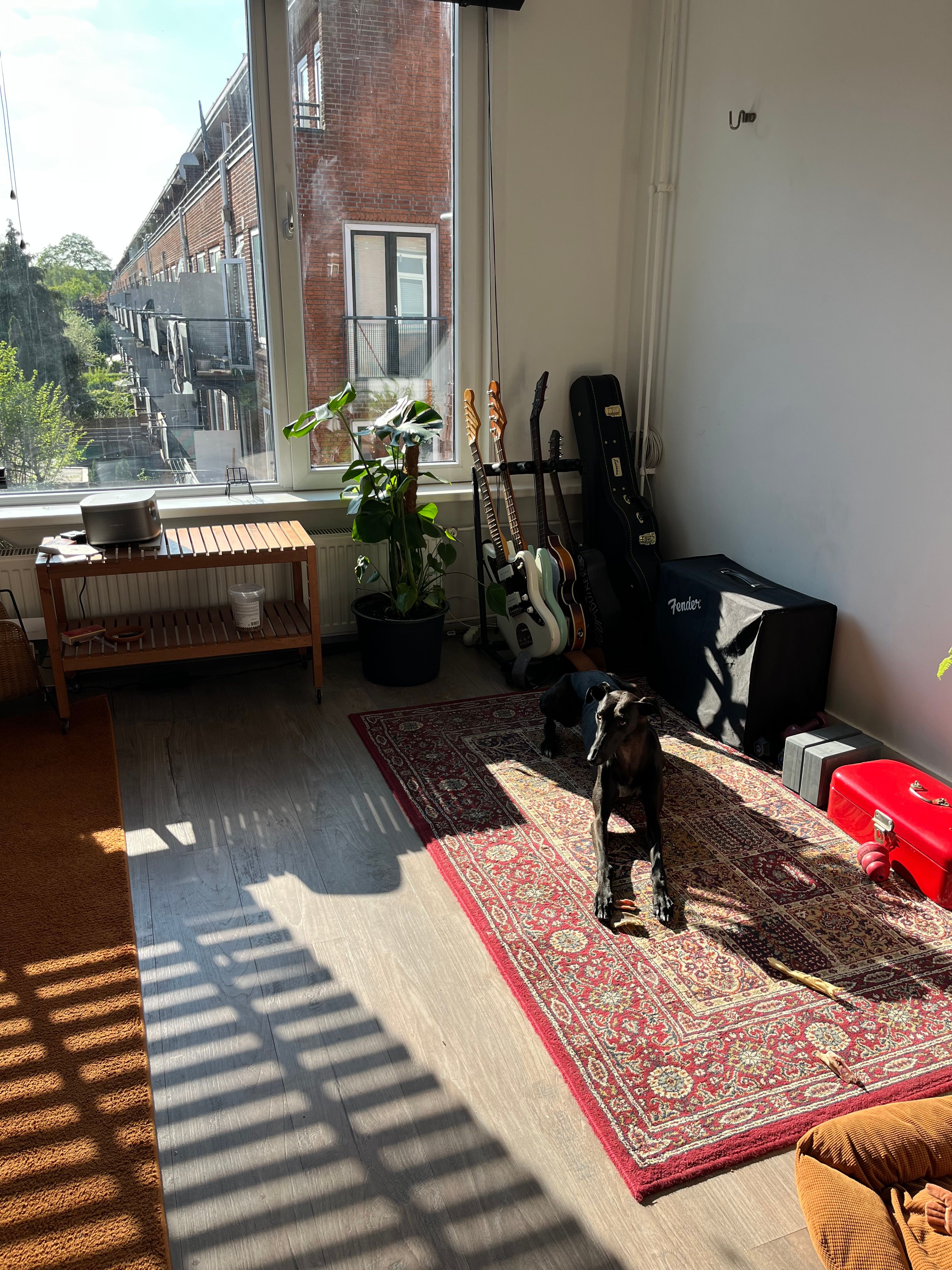 image-19