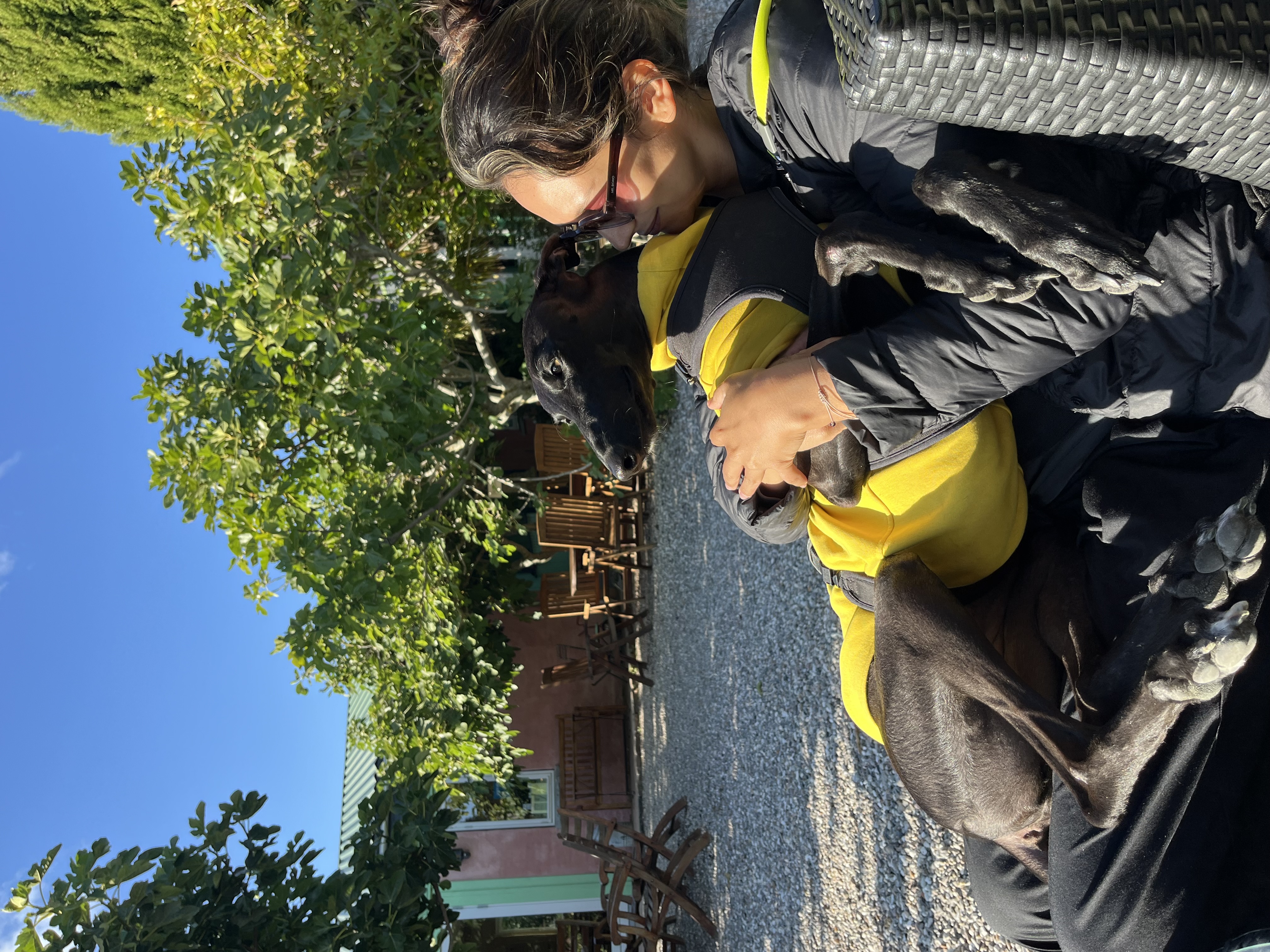image-8