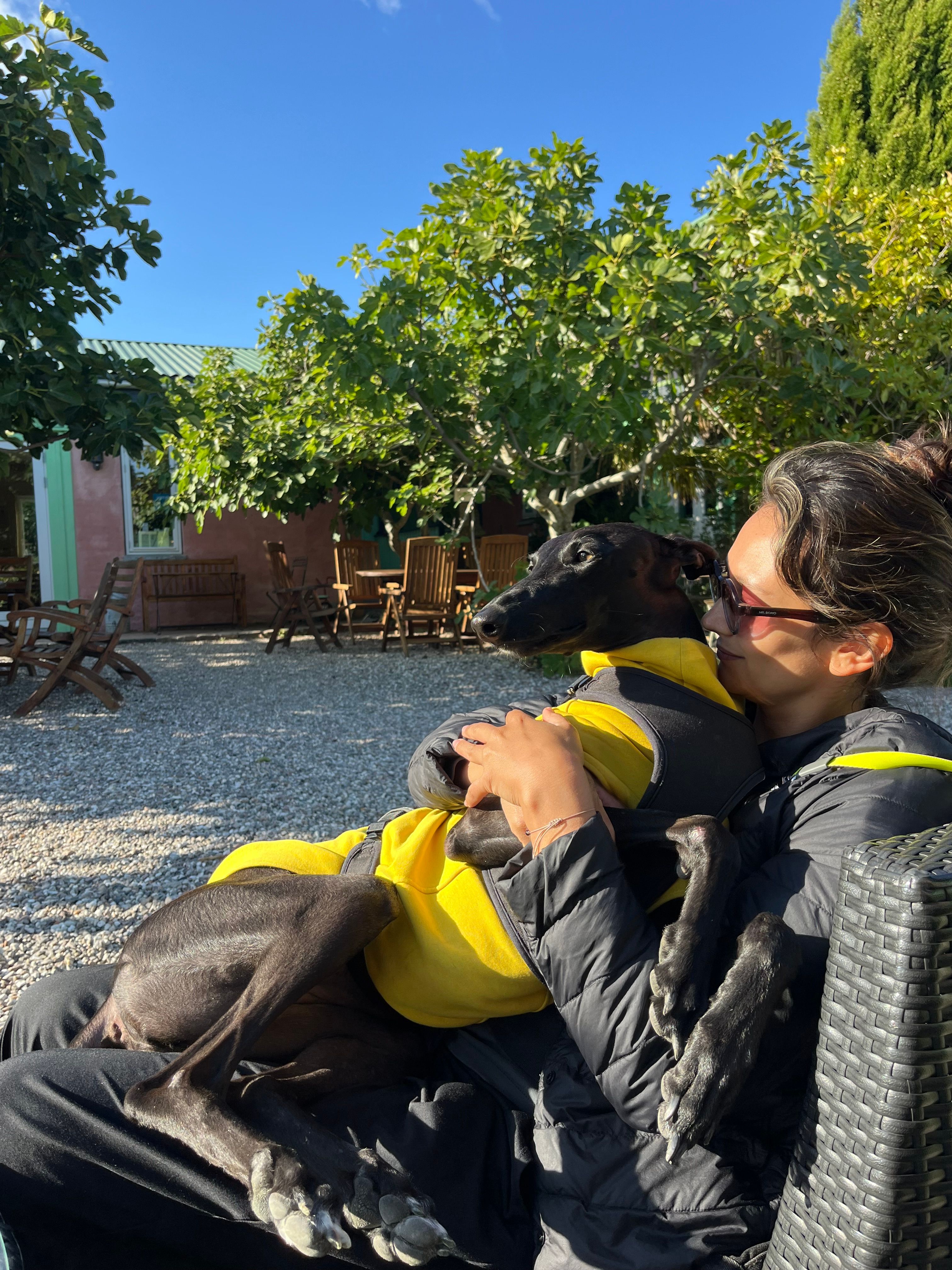 image-8