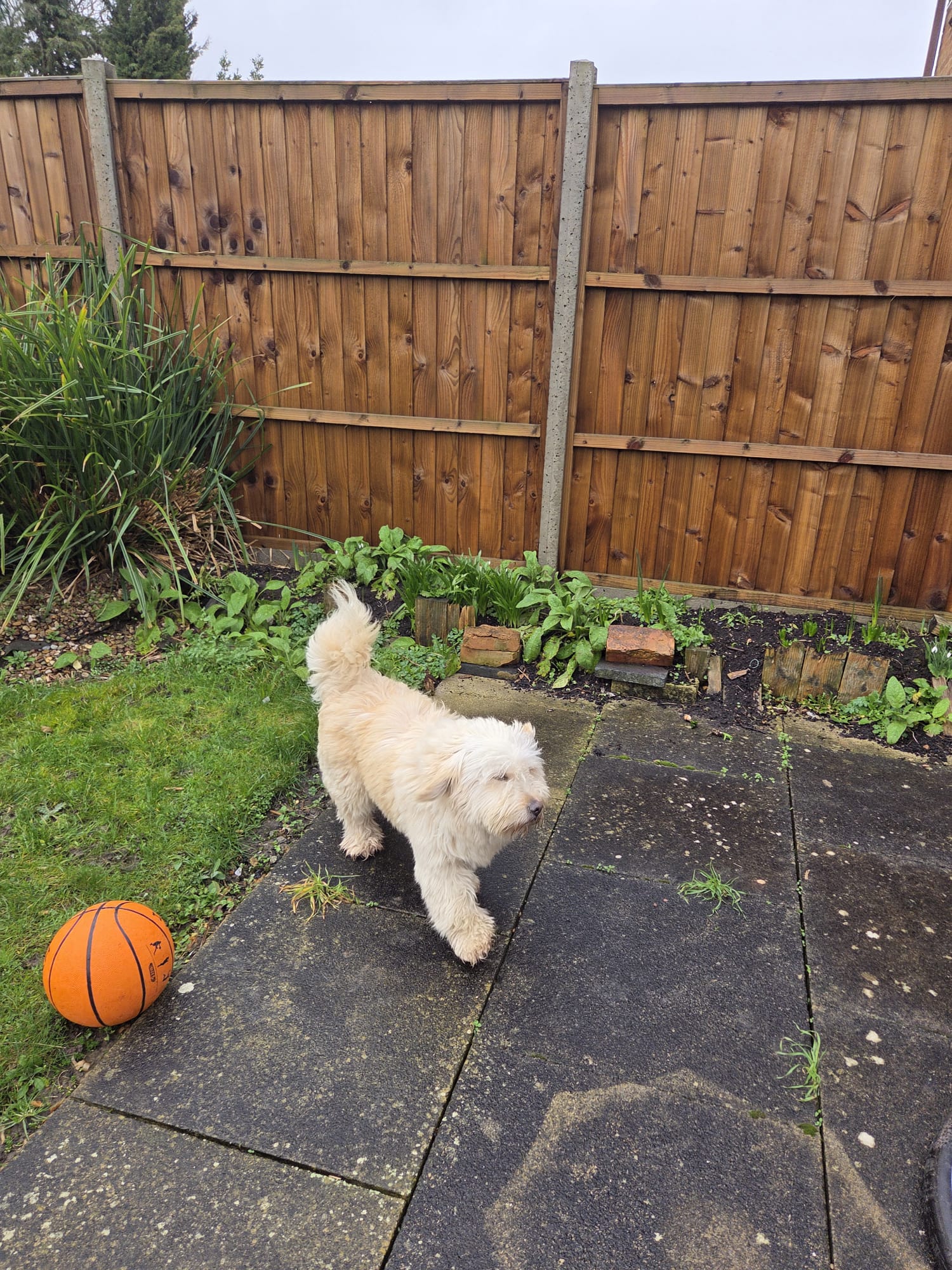 image-12