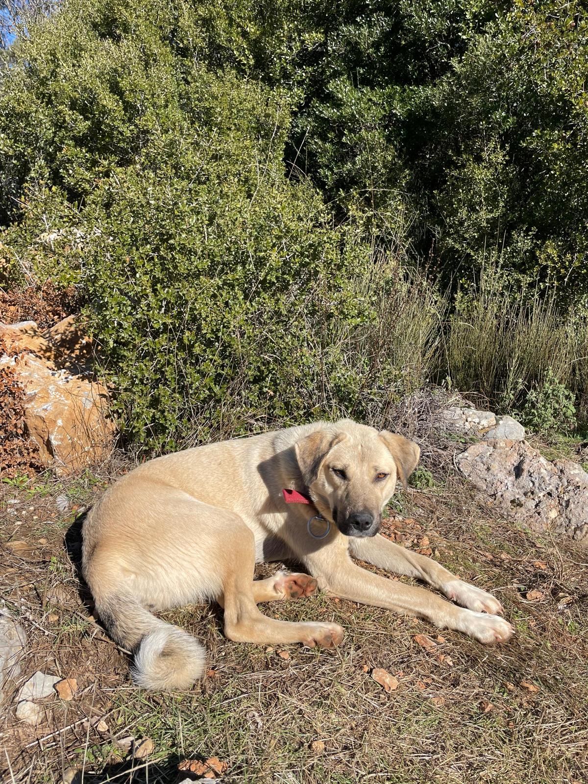 image-8