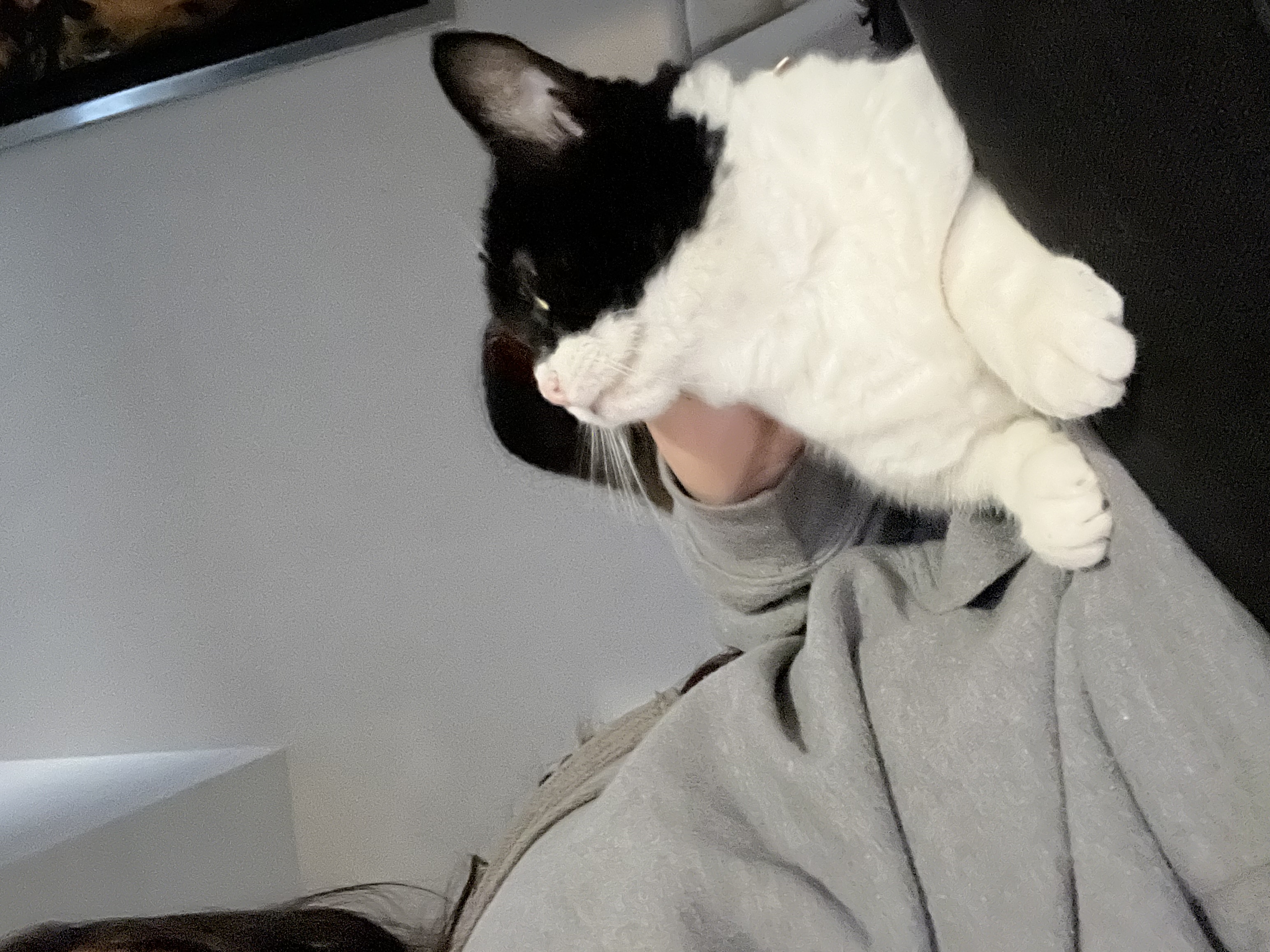 image-6