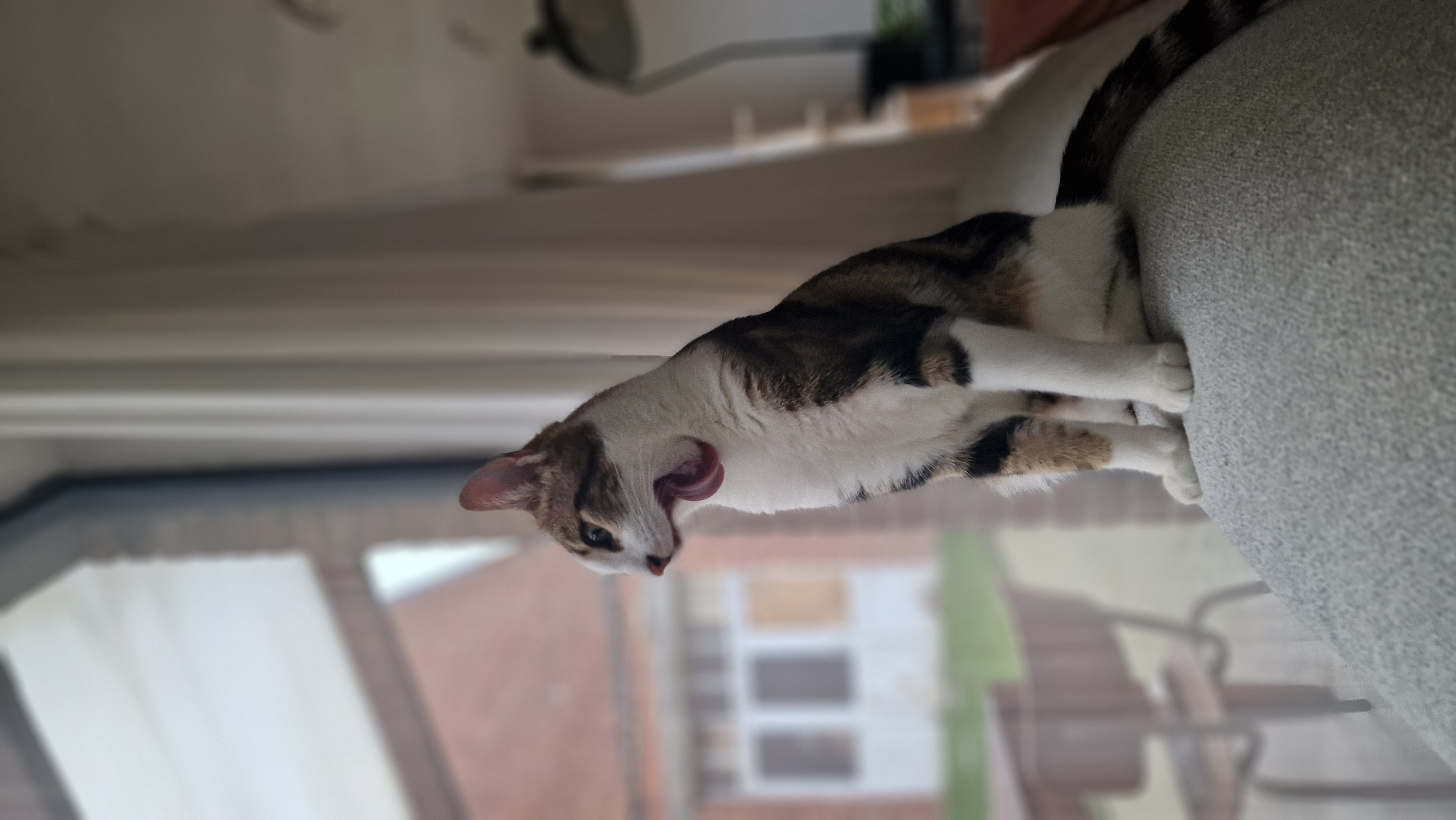image-10