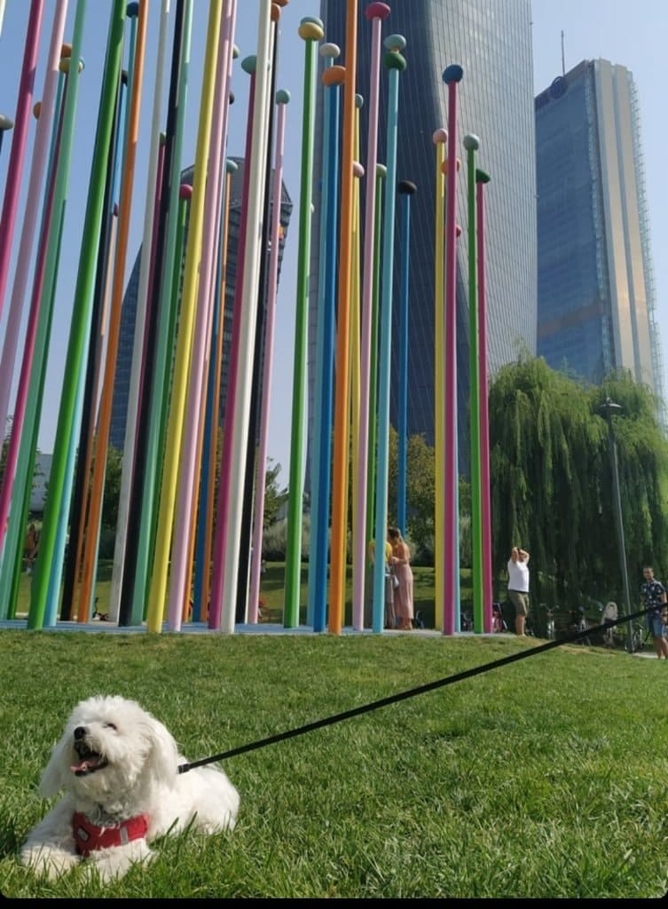 image-14