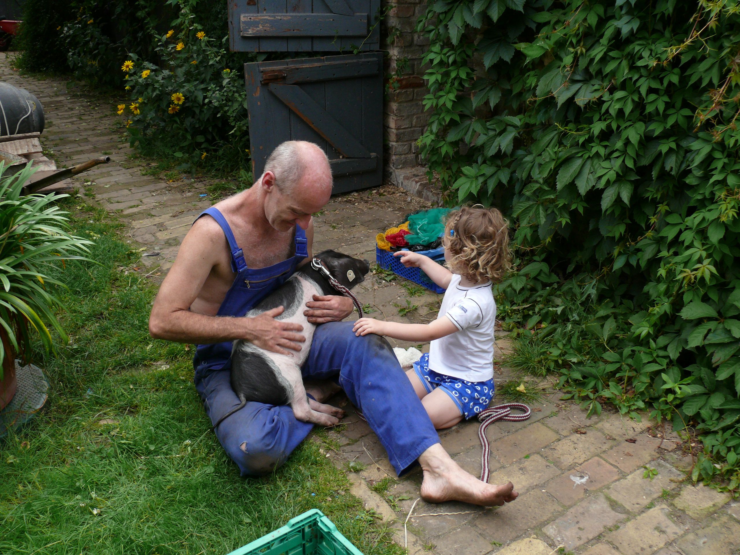 image-1