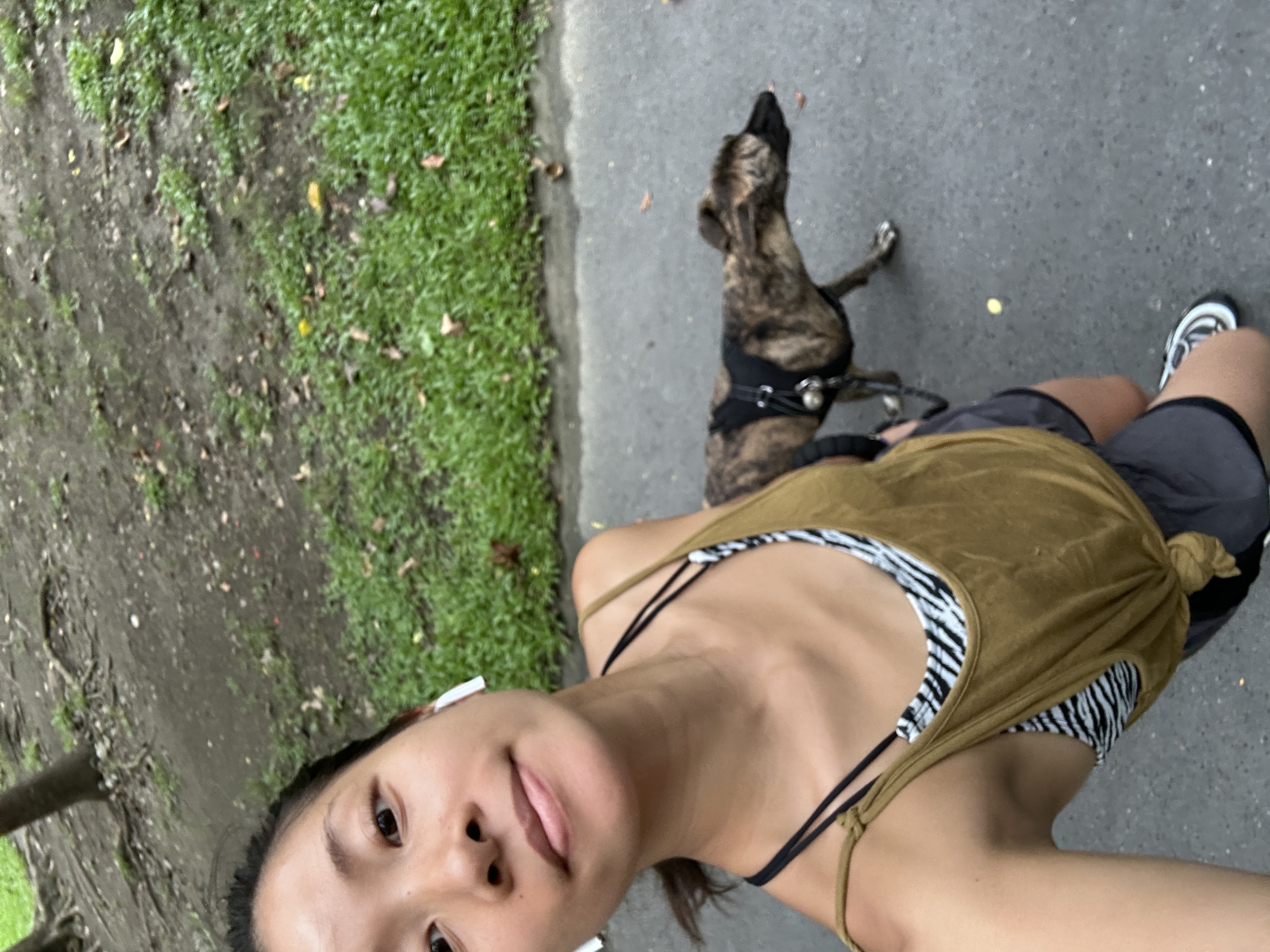 image-5