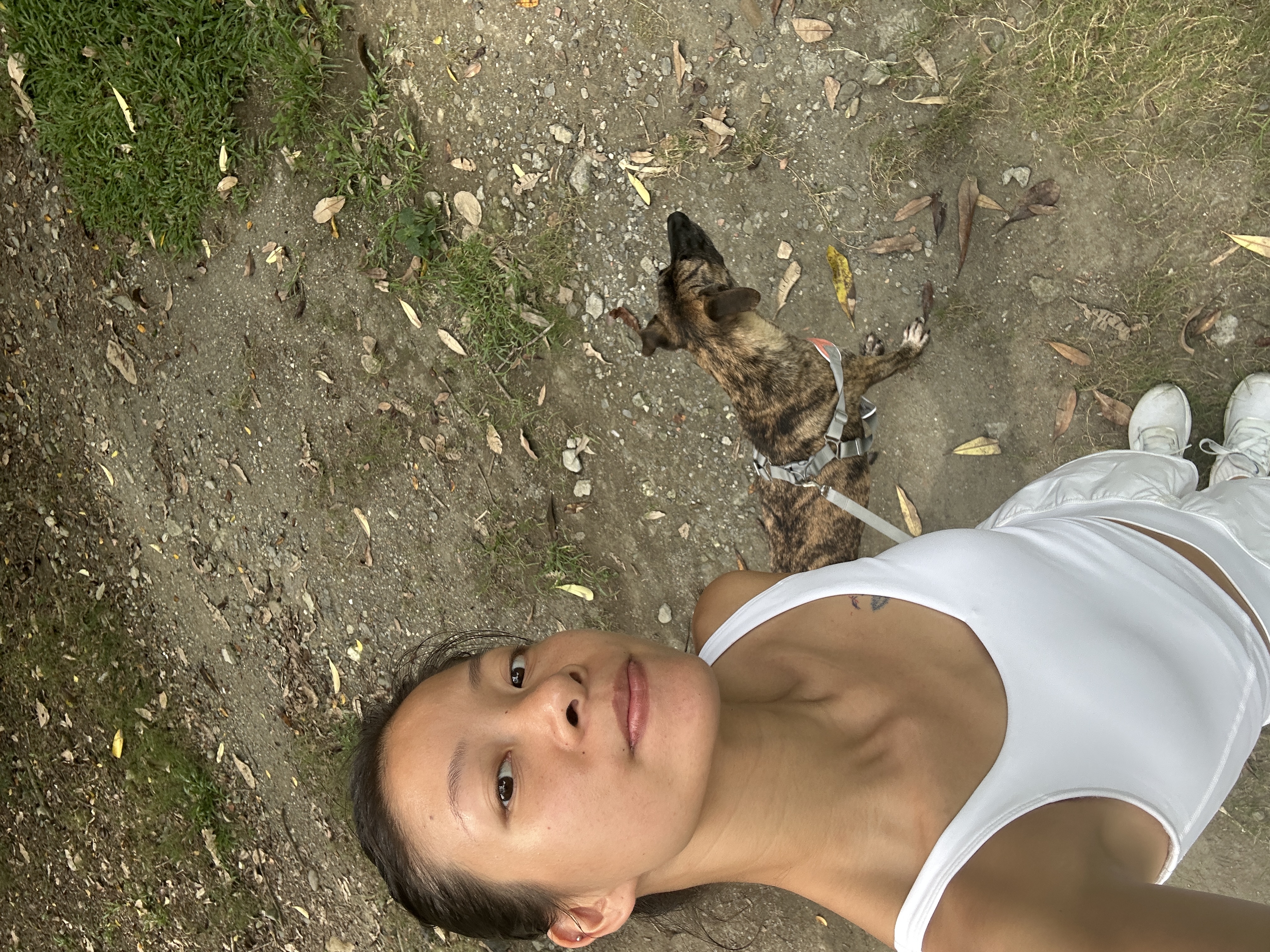 image-14