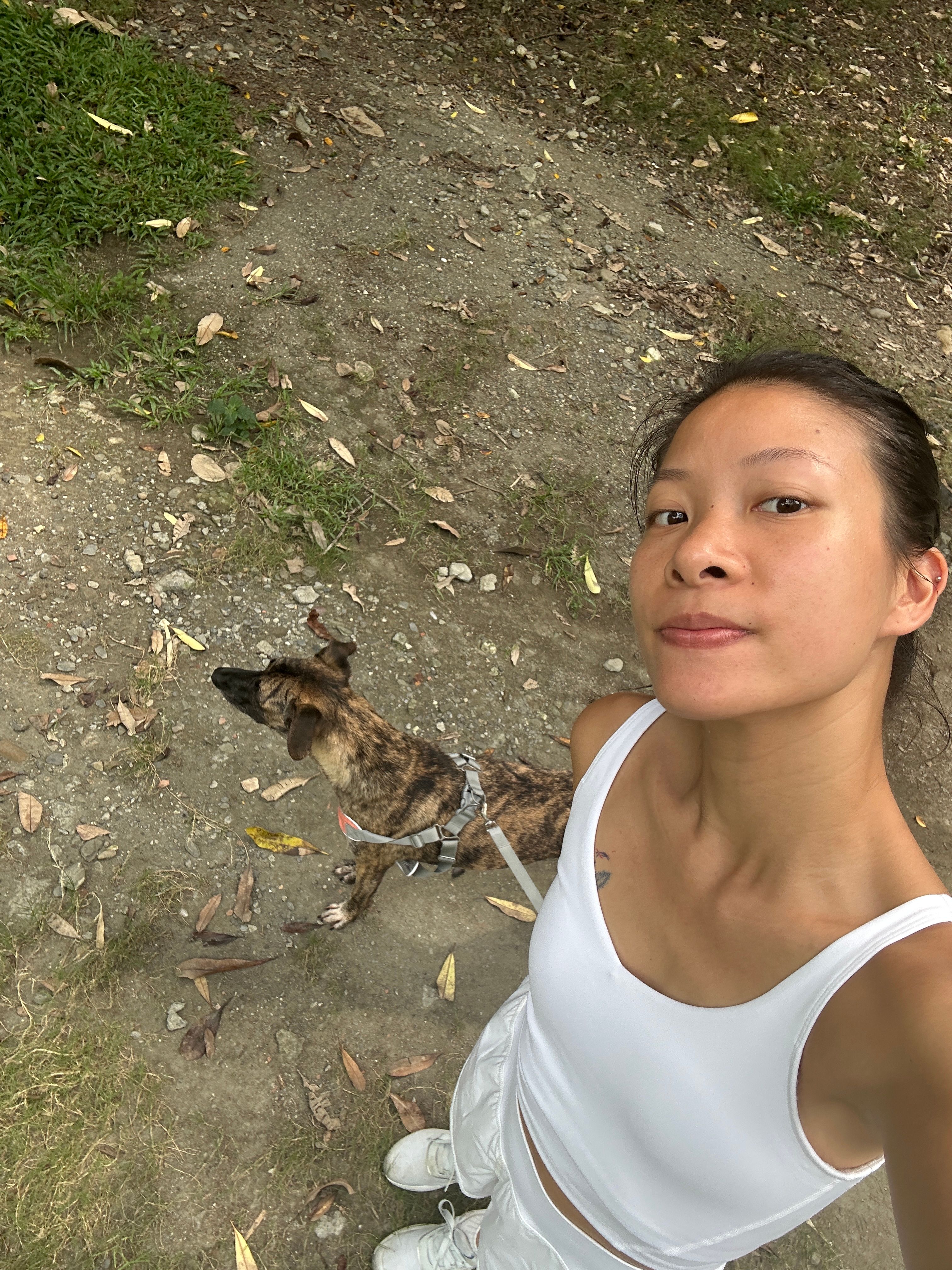 image-14