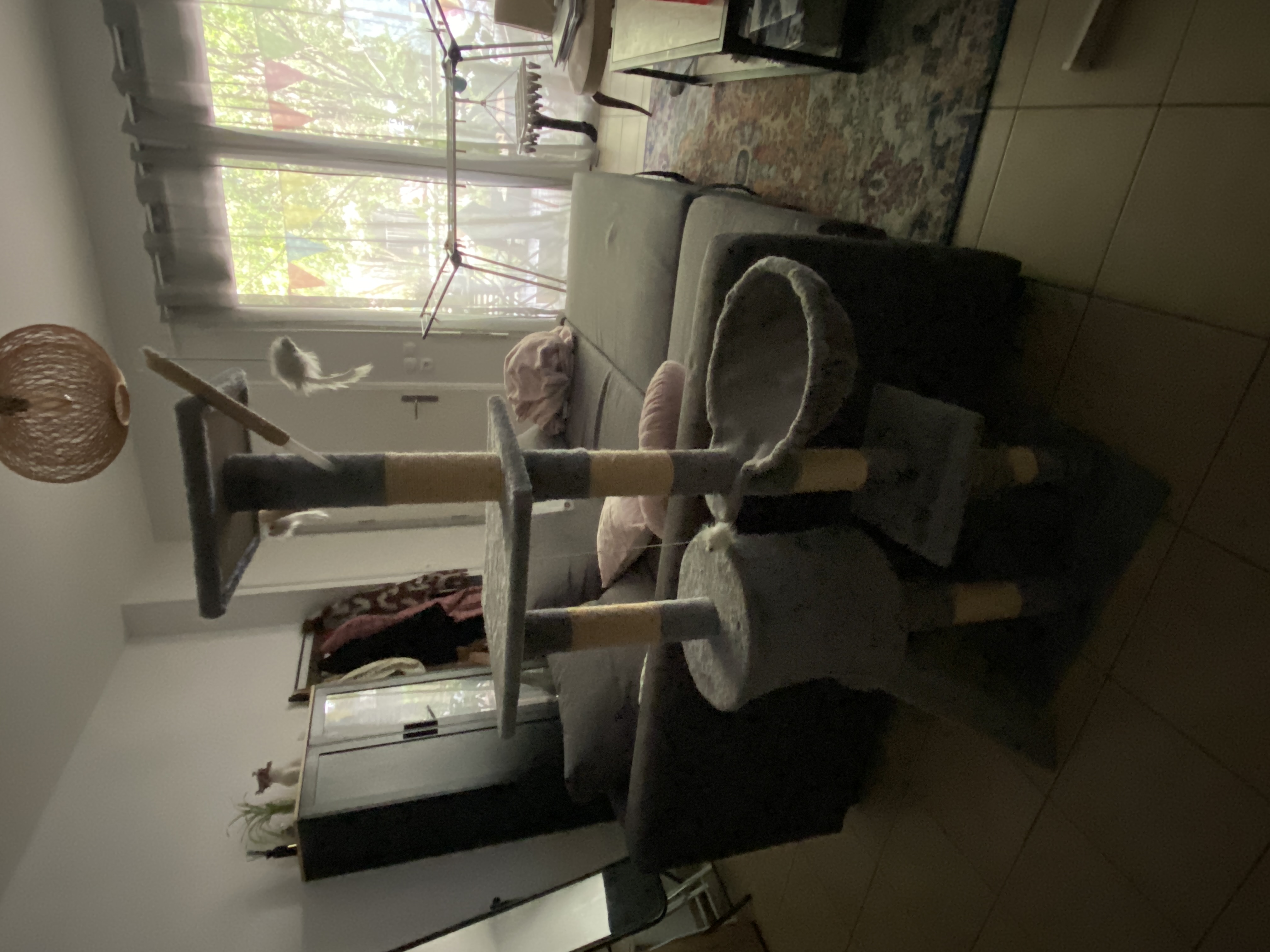 image-17