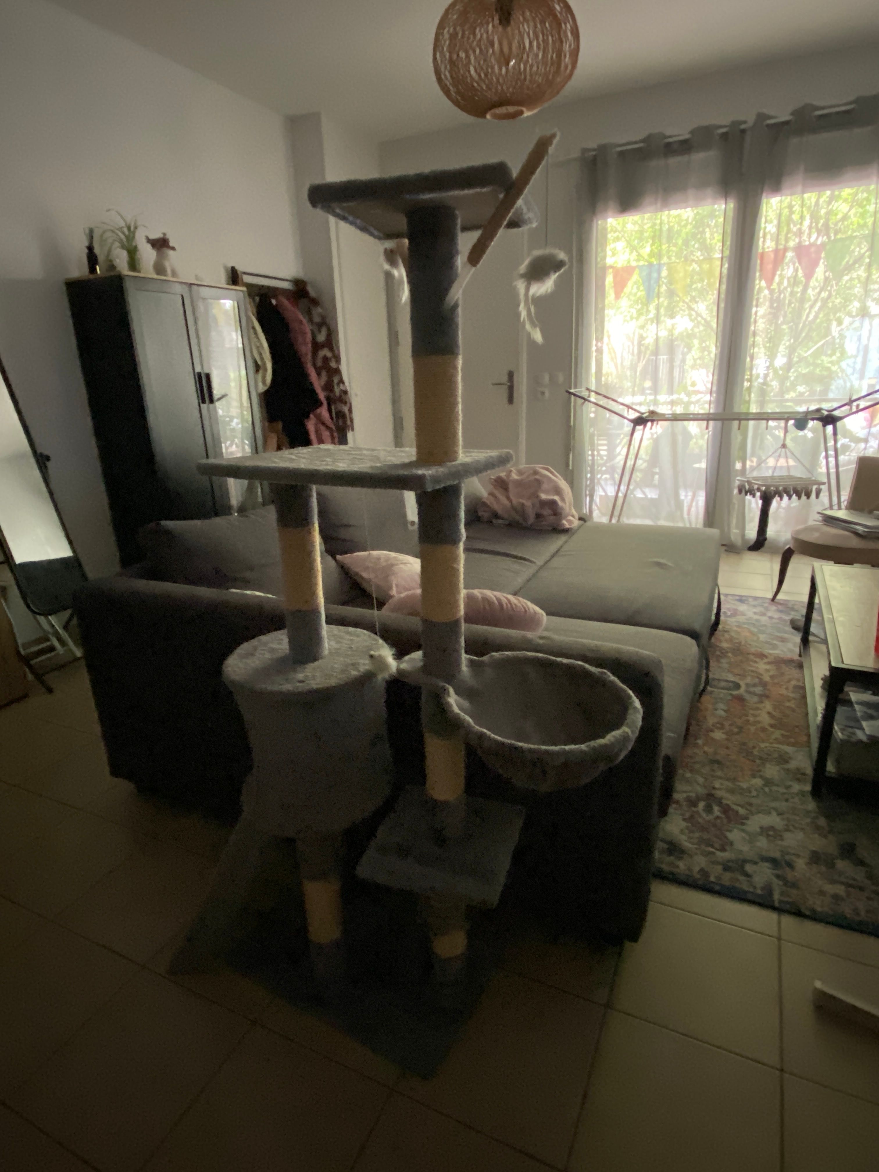 image-17