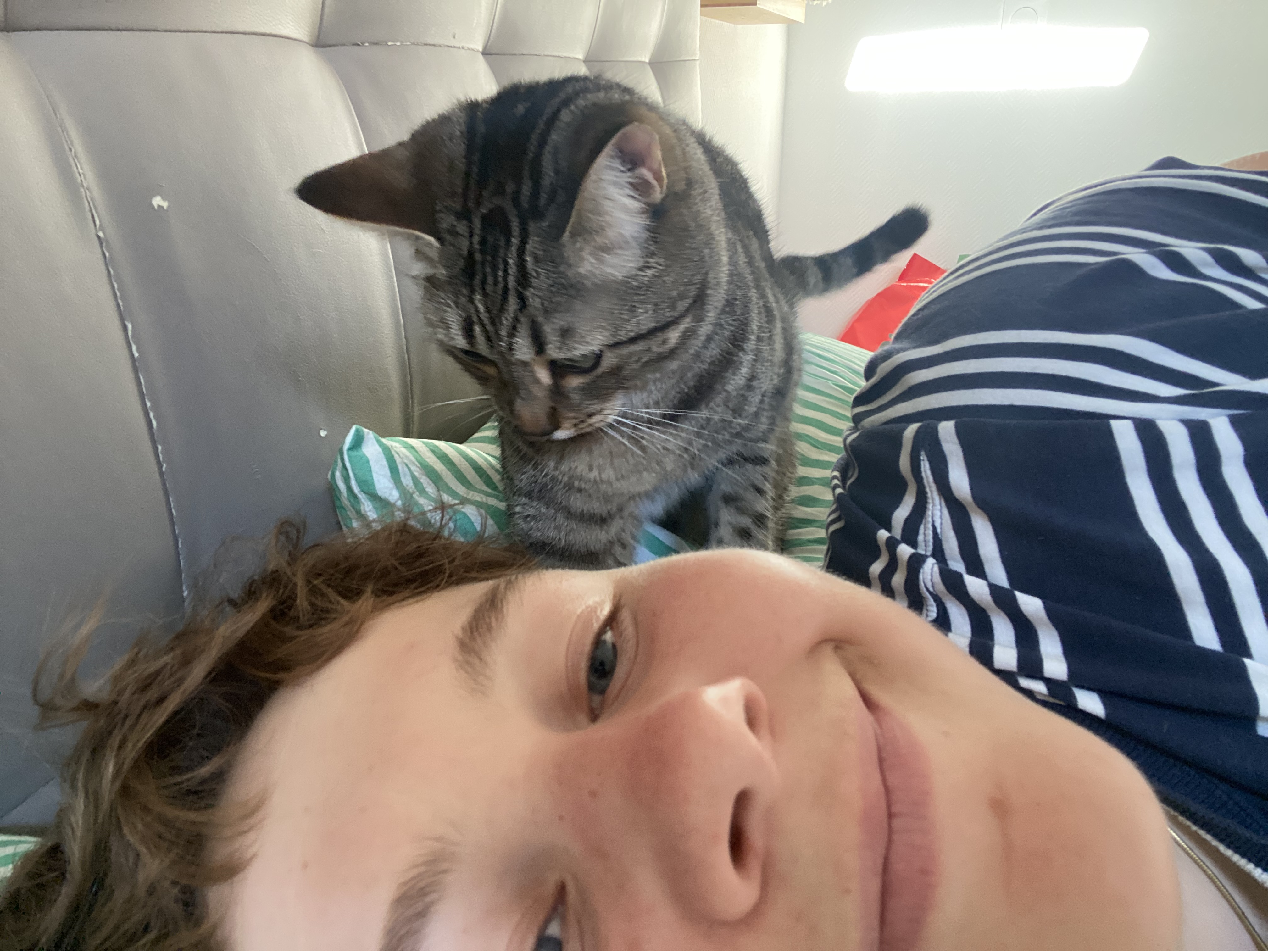 image-1
