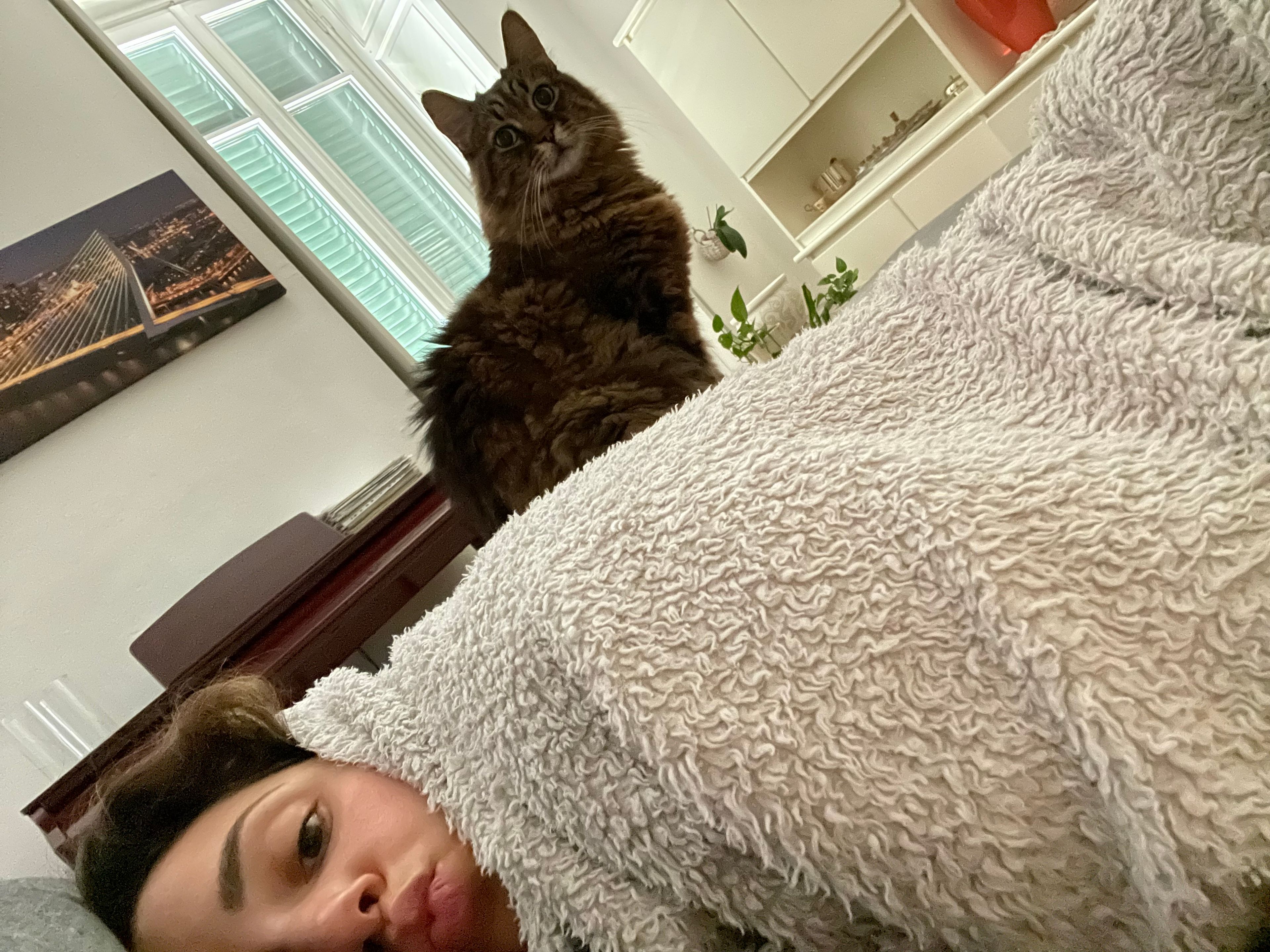 image-13
