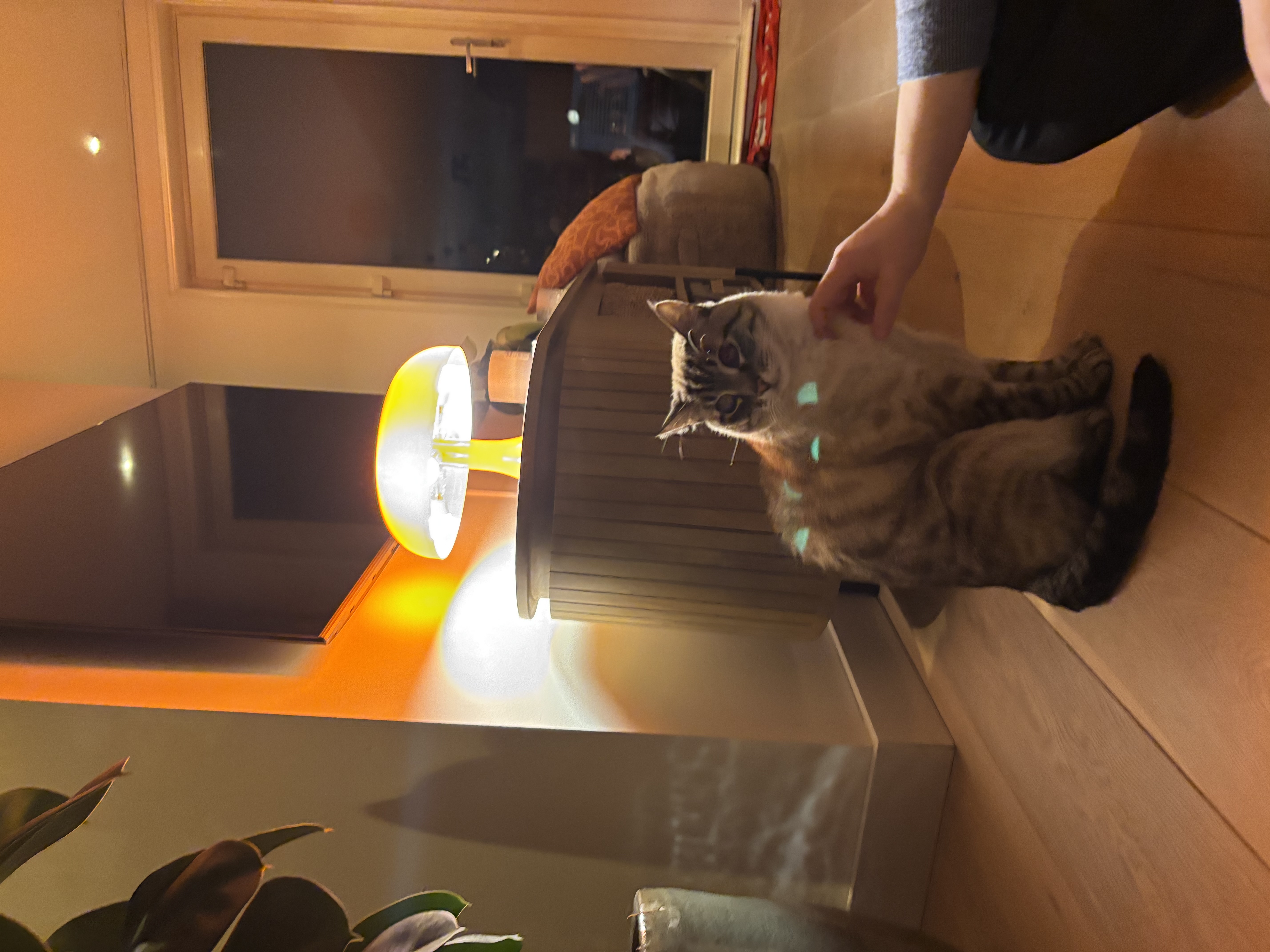 image-6