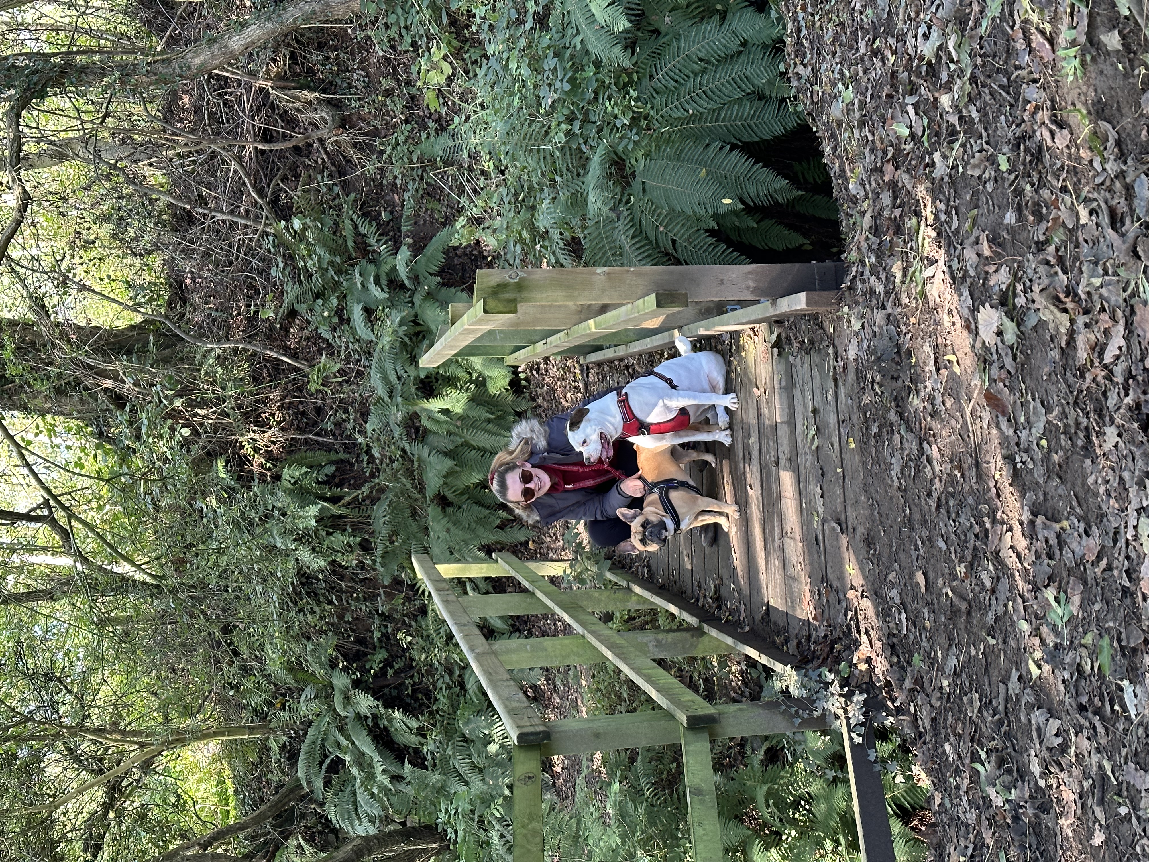 image-13