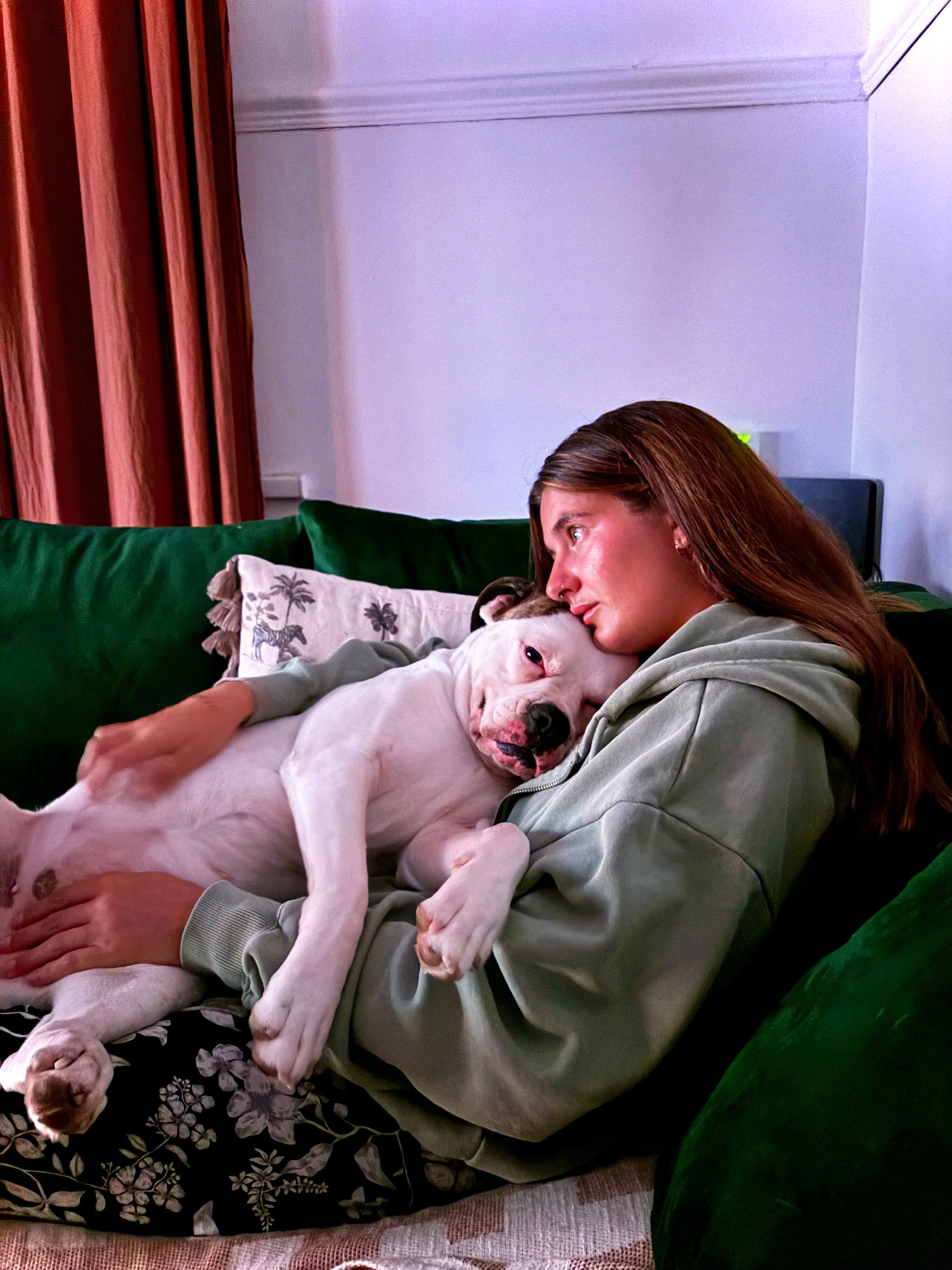 image-12