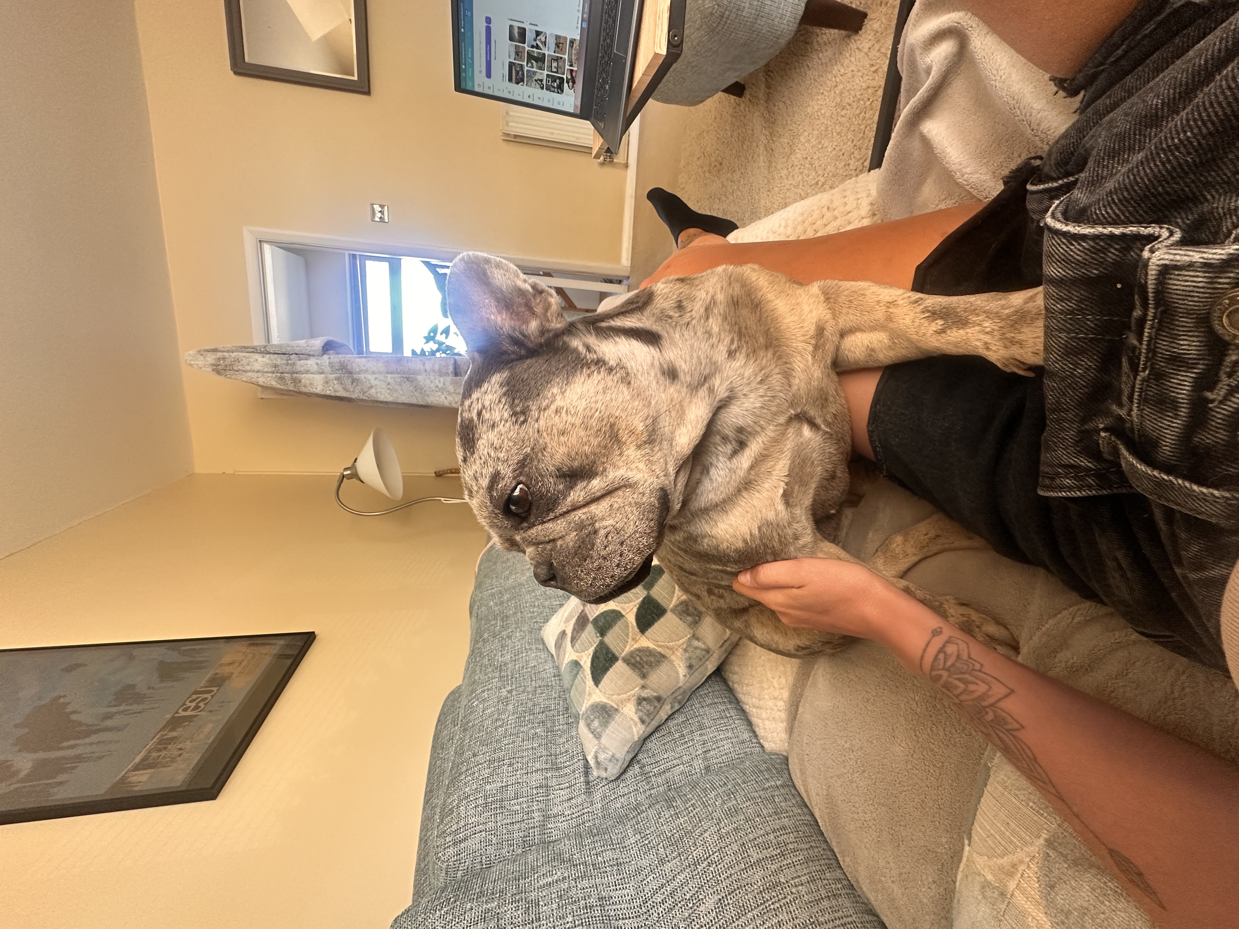 image-11