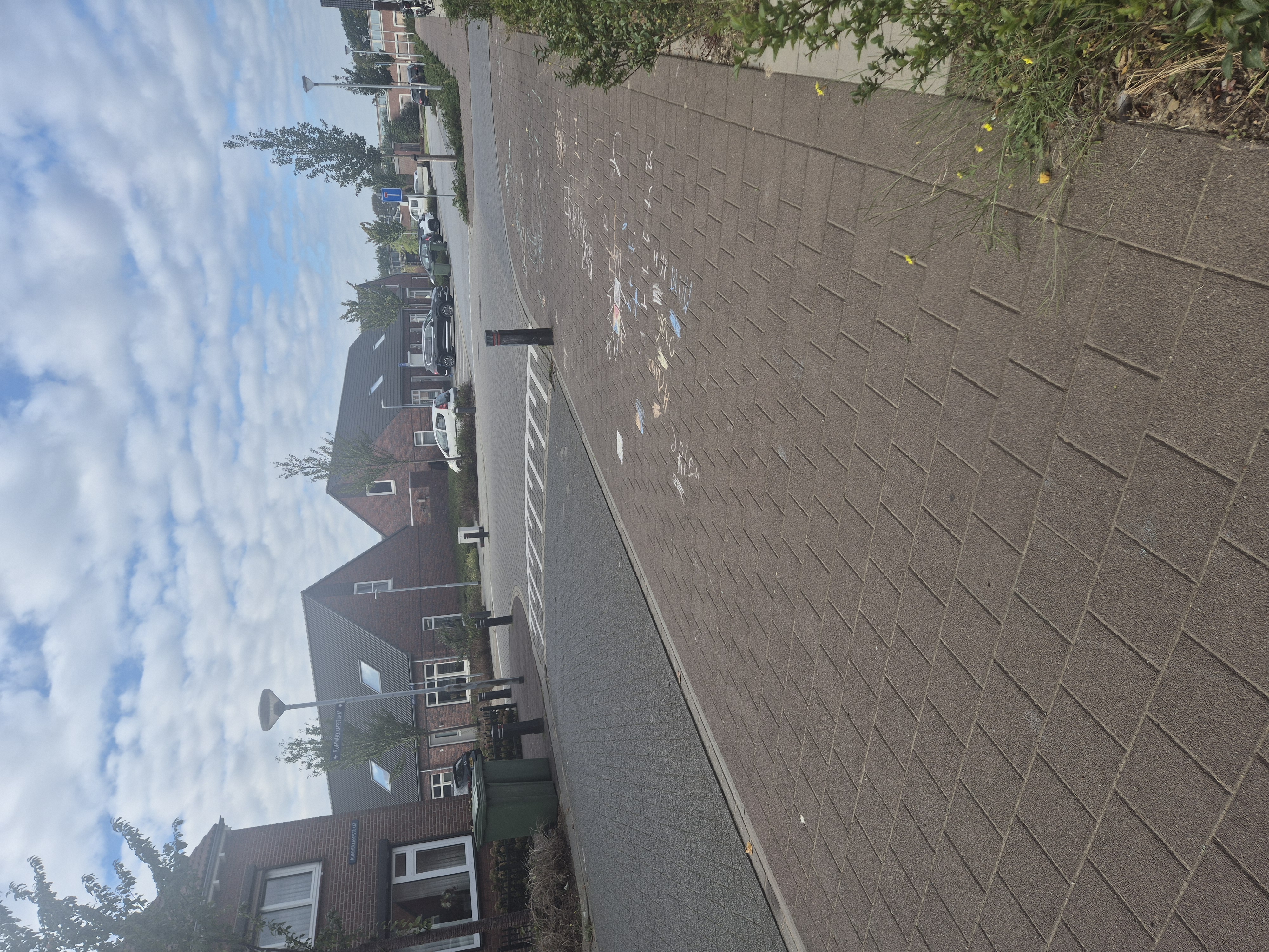 image-20