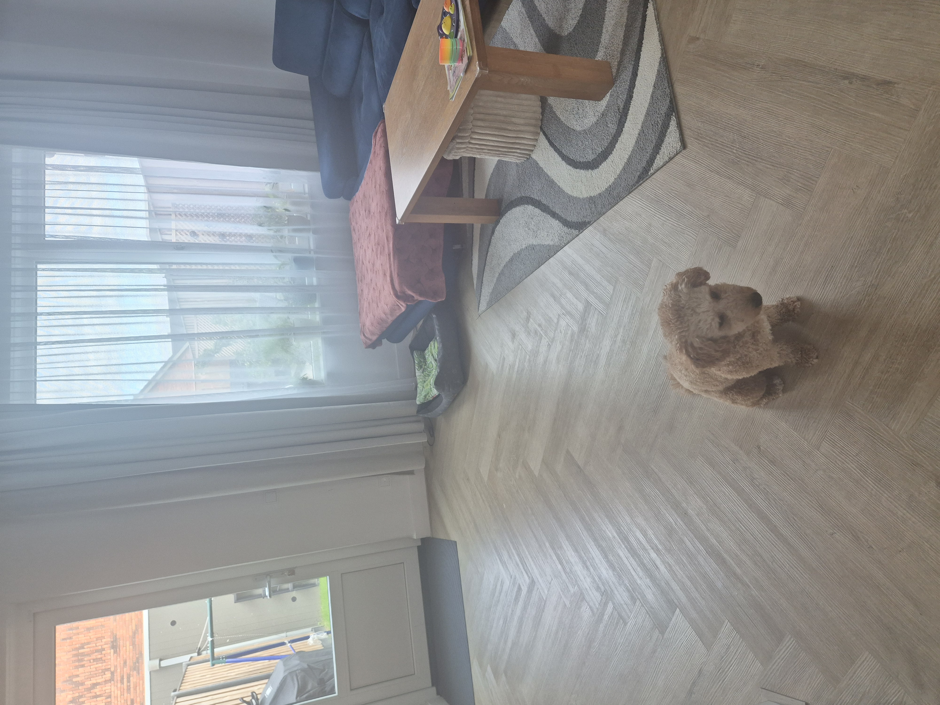 image-18