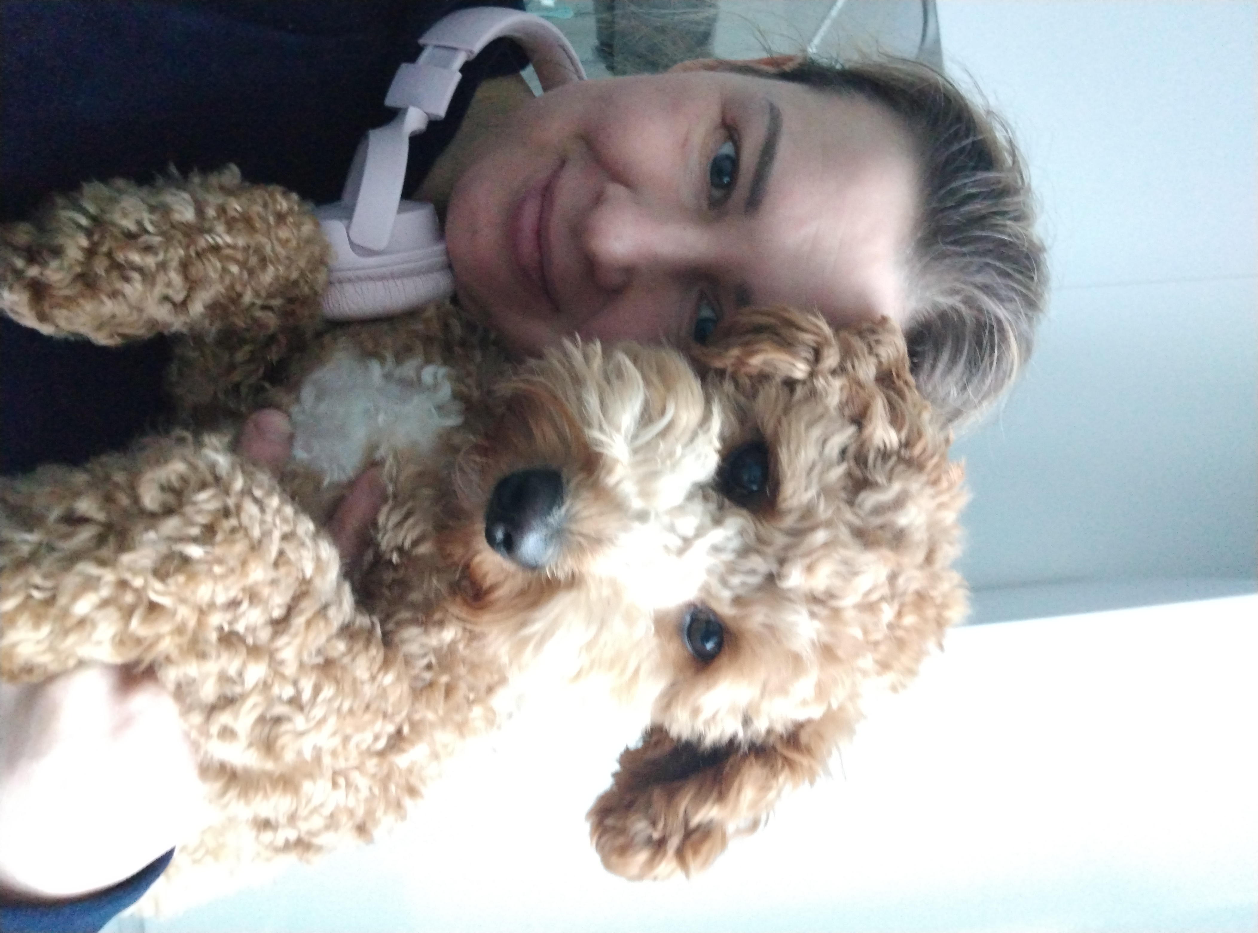 image-7