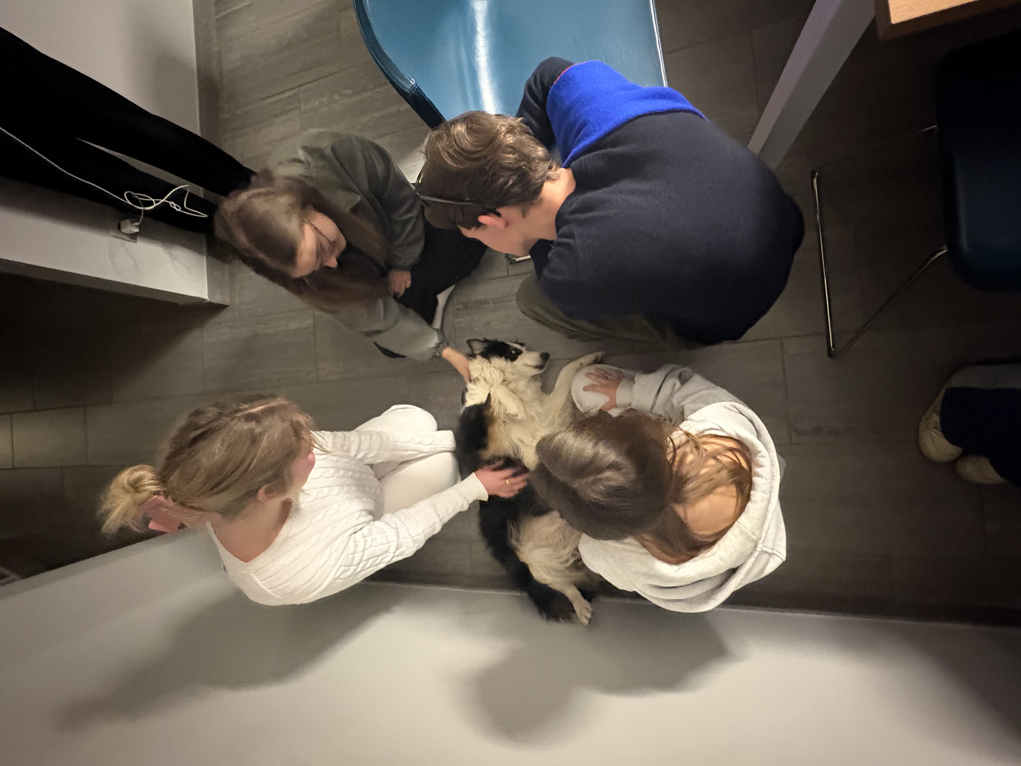 image-4