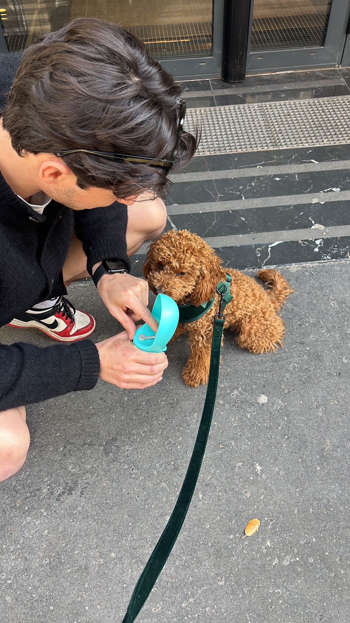 image-8